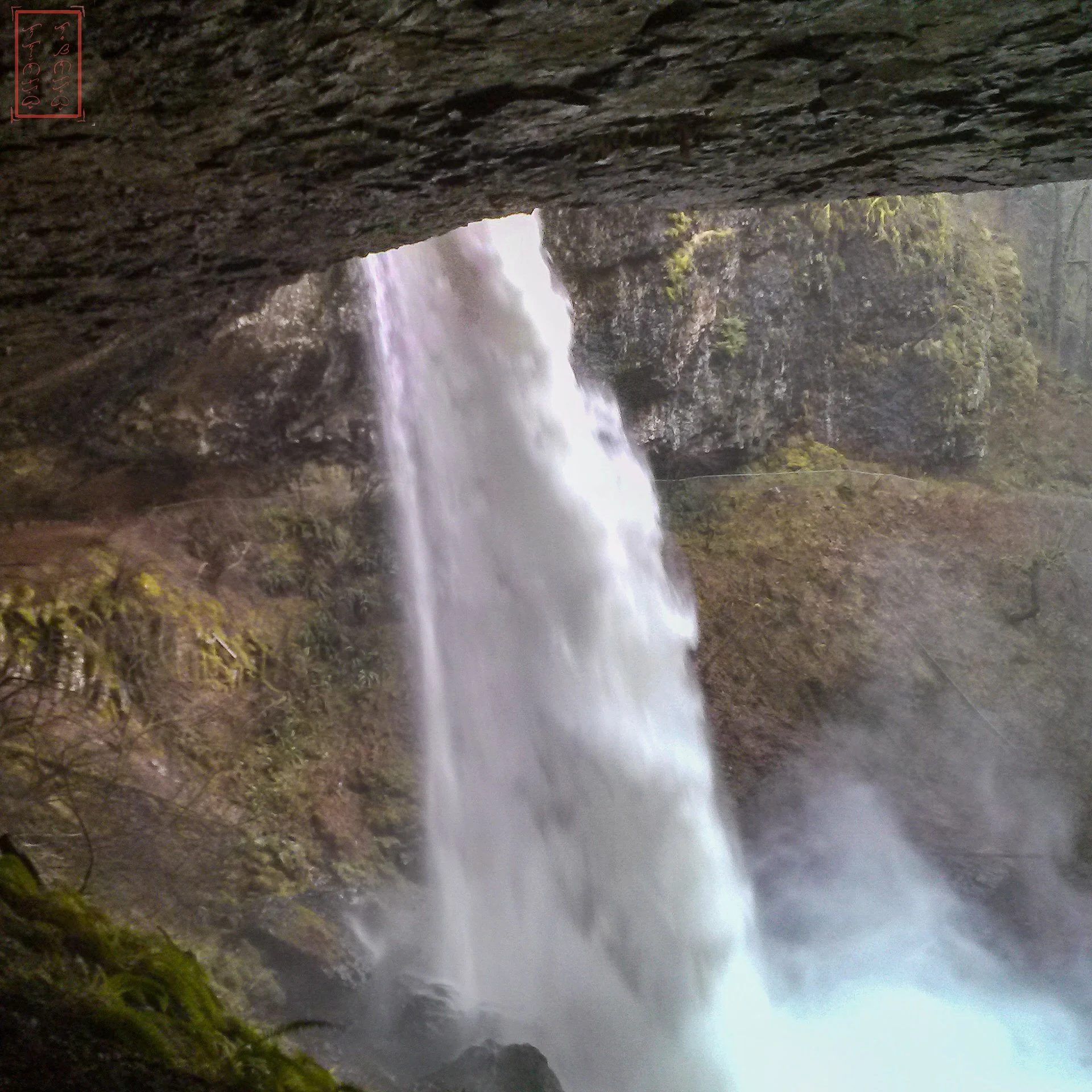 OR: Silver Falls
