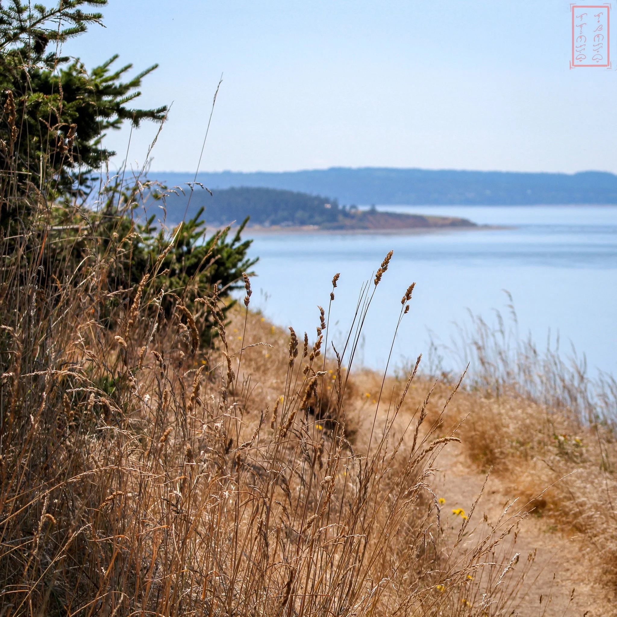 WA: Ebey's Landing