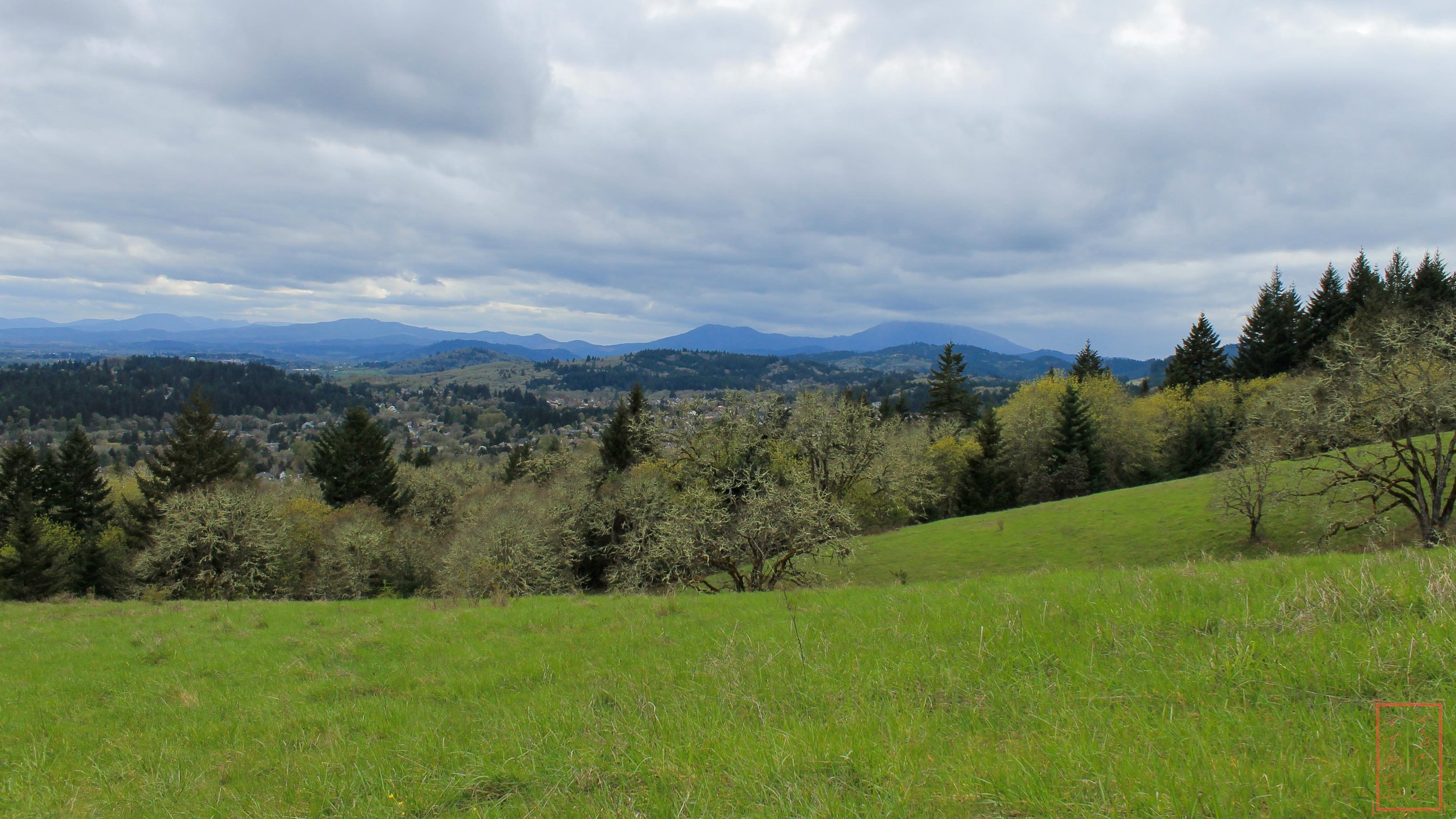 OR: Chip Ross Park and Dimple Hill