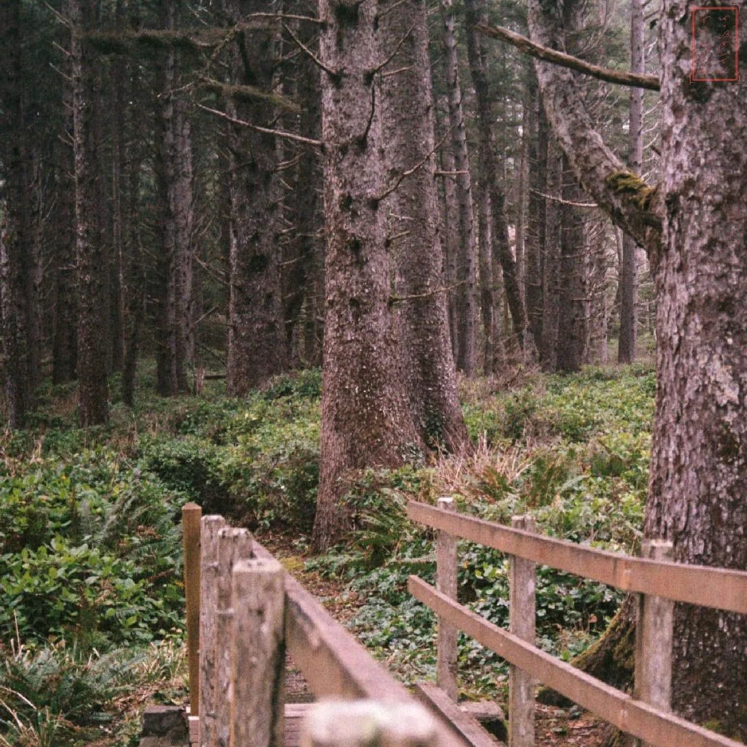 OR: Cape Lookout