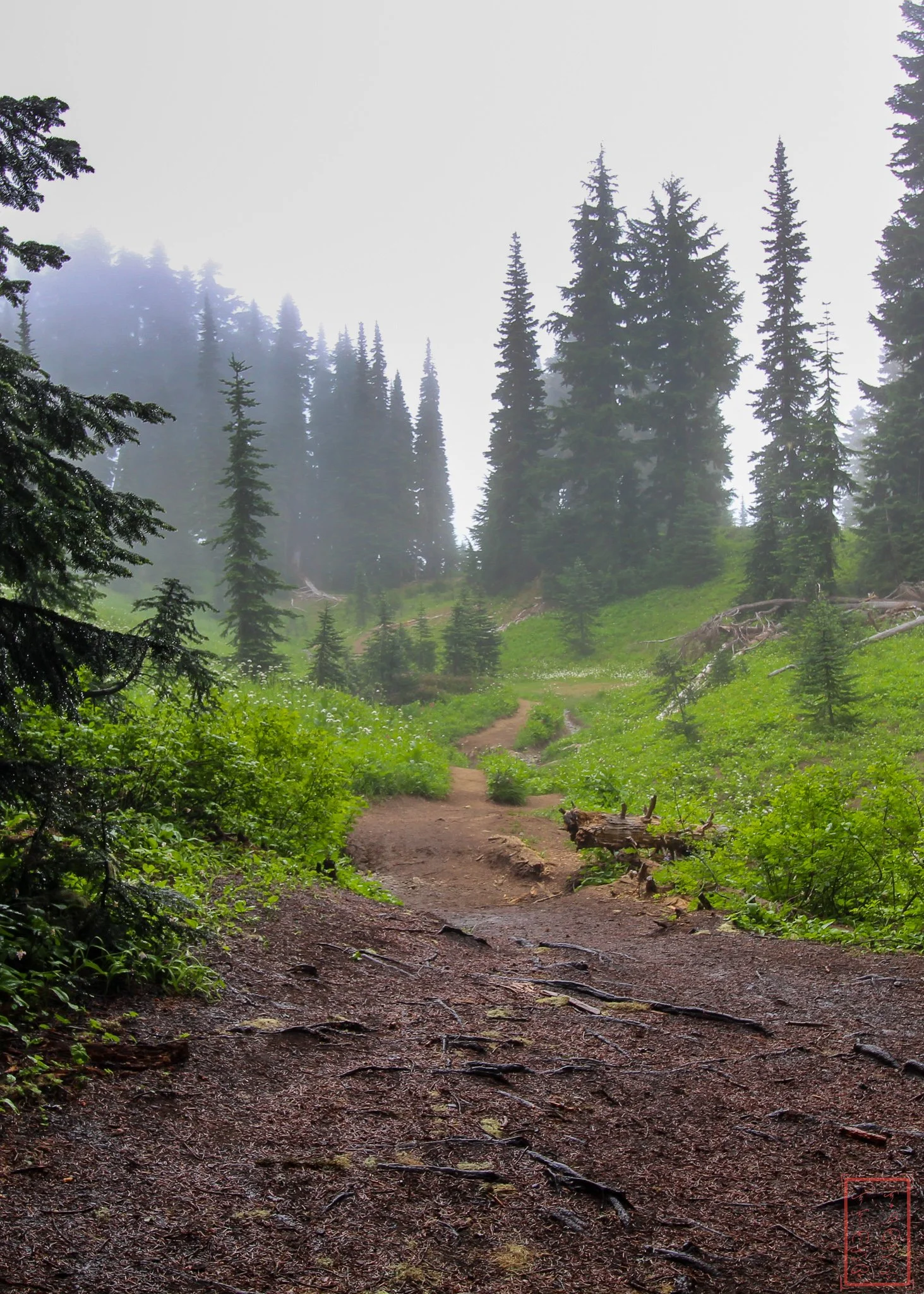 WA: Naches Peak Loop