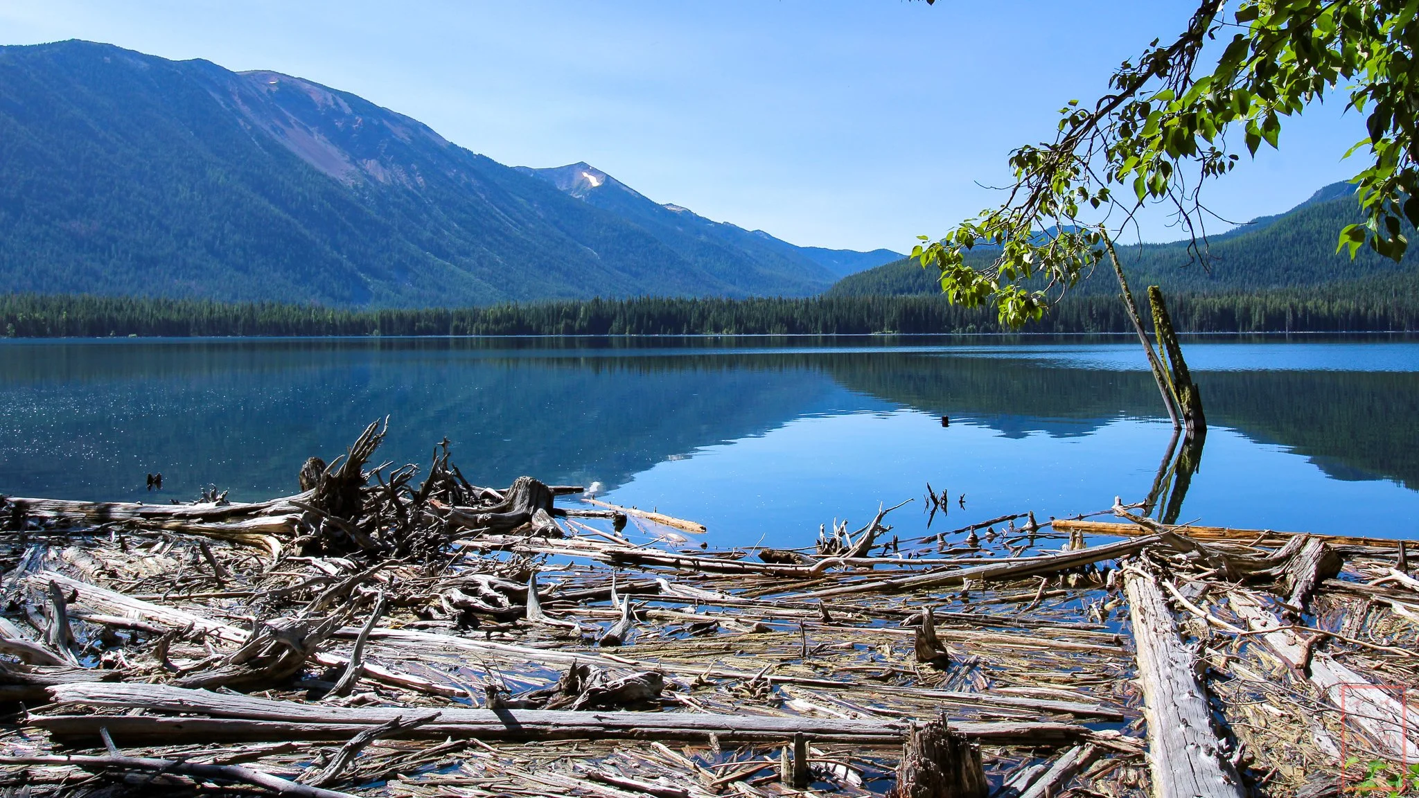WA: Bumping Lake