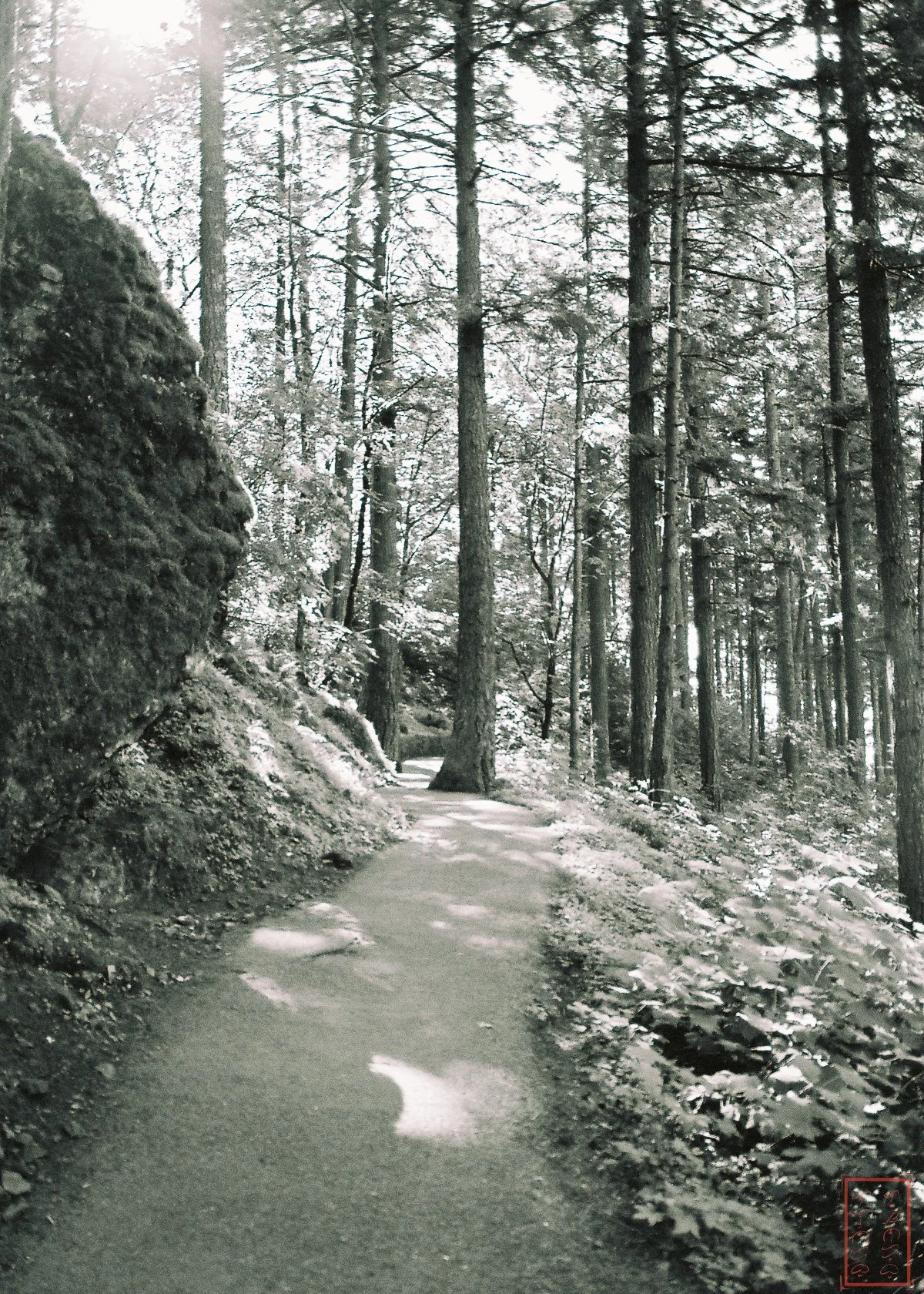 OR: Wahkeena Falls to Multnomah Falls