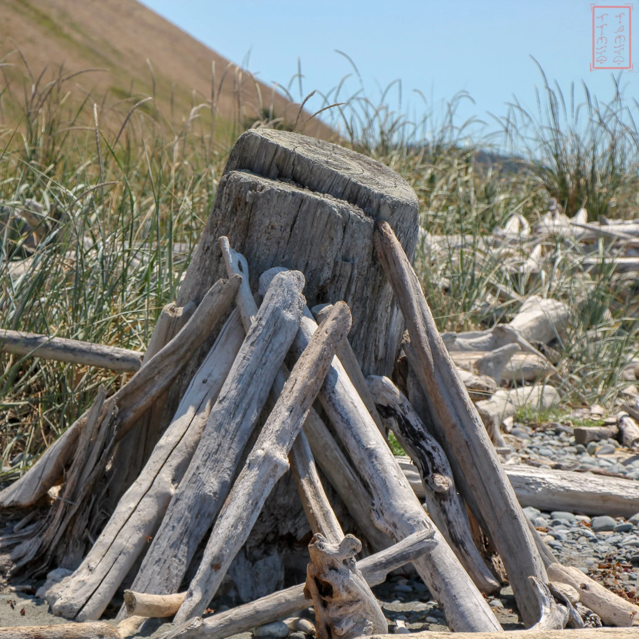 WA: Ebey's Landing