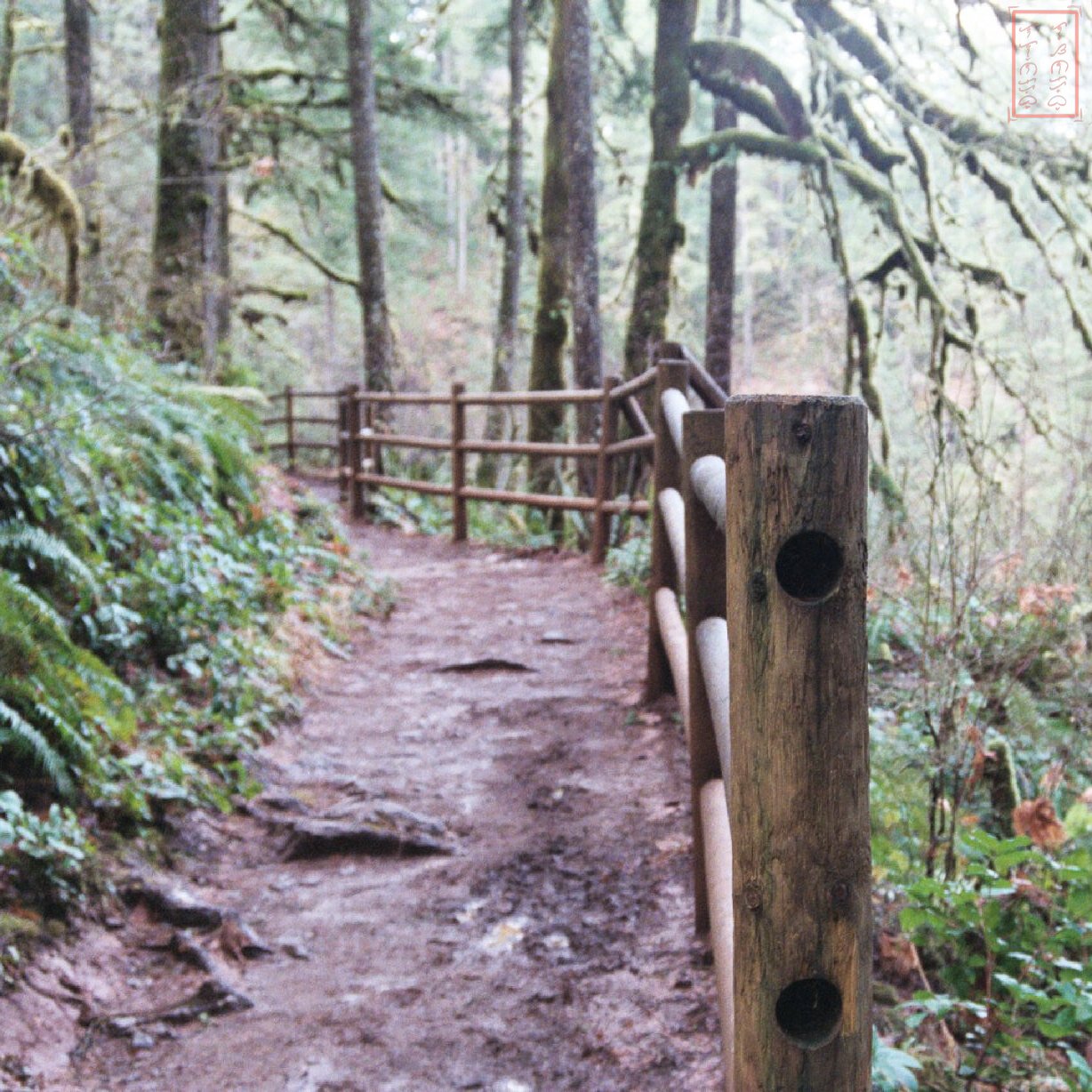 OR: Silver Falls