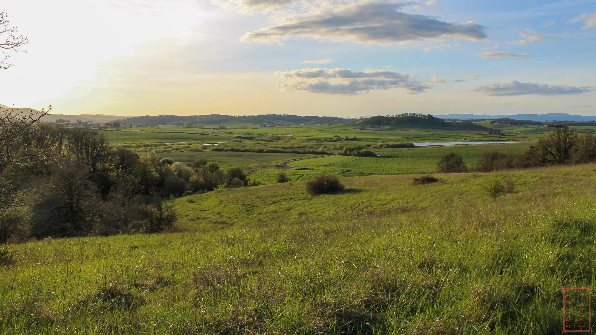OR: Baskett Slough