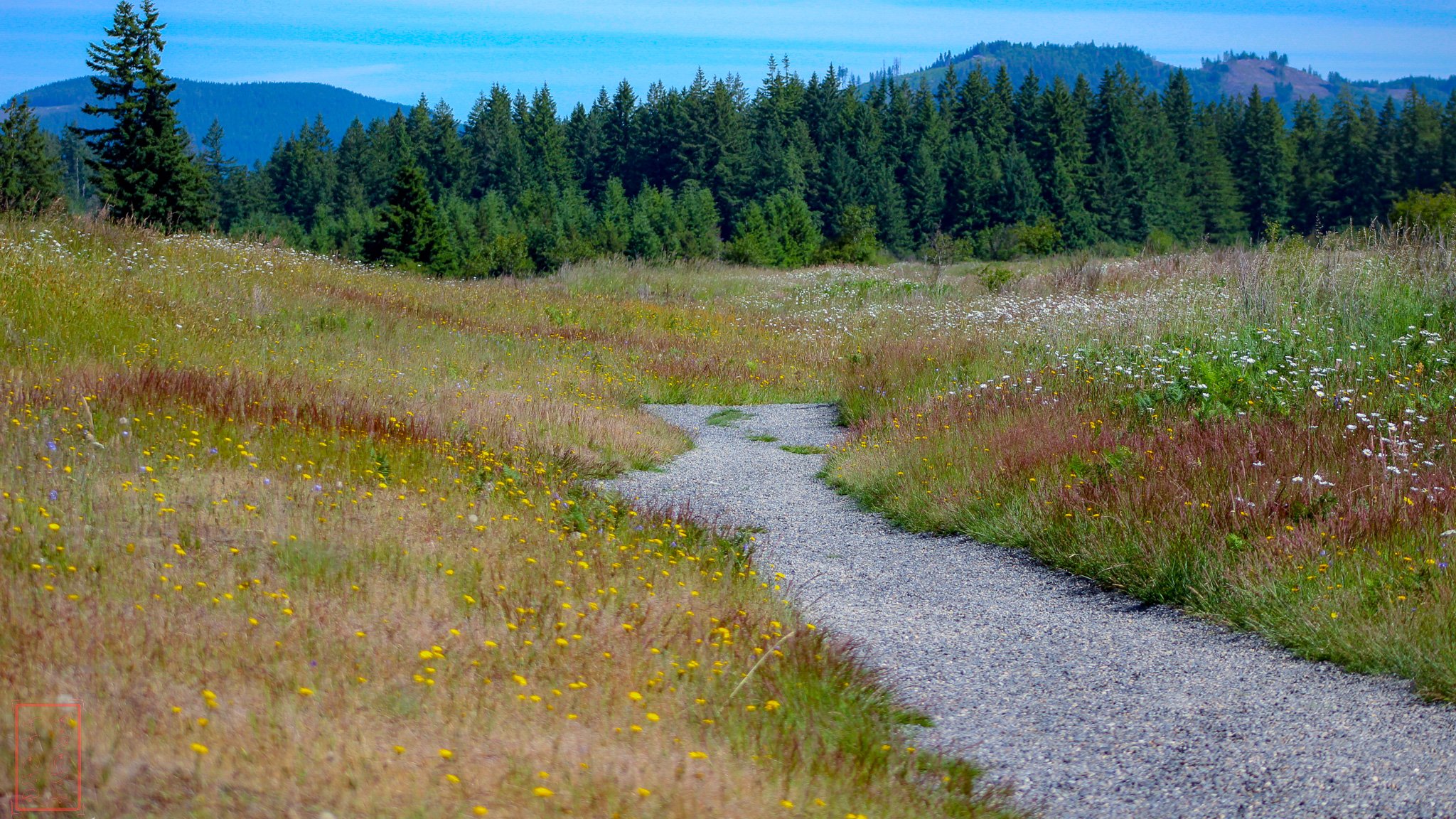 WA: Mima Mounds