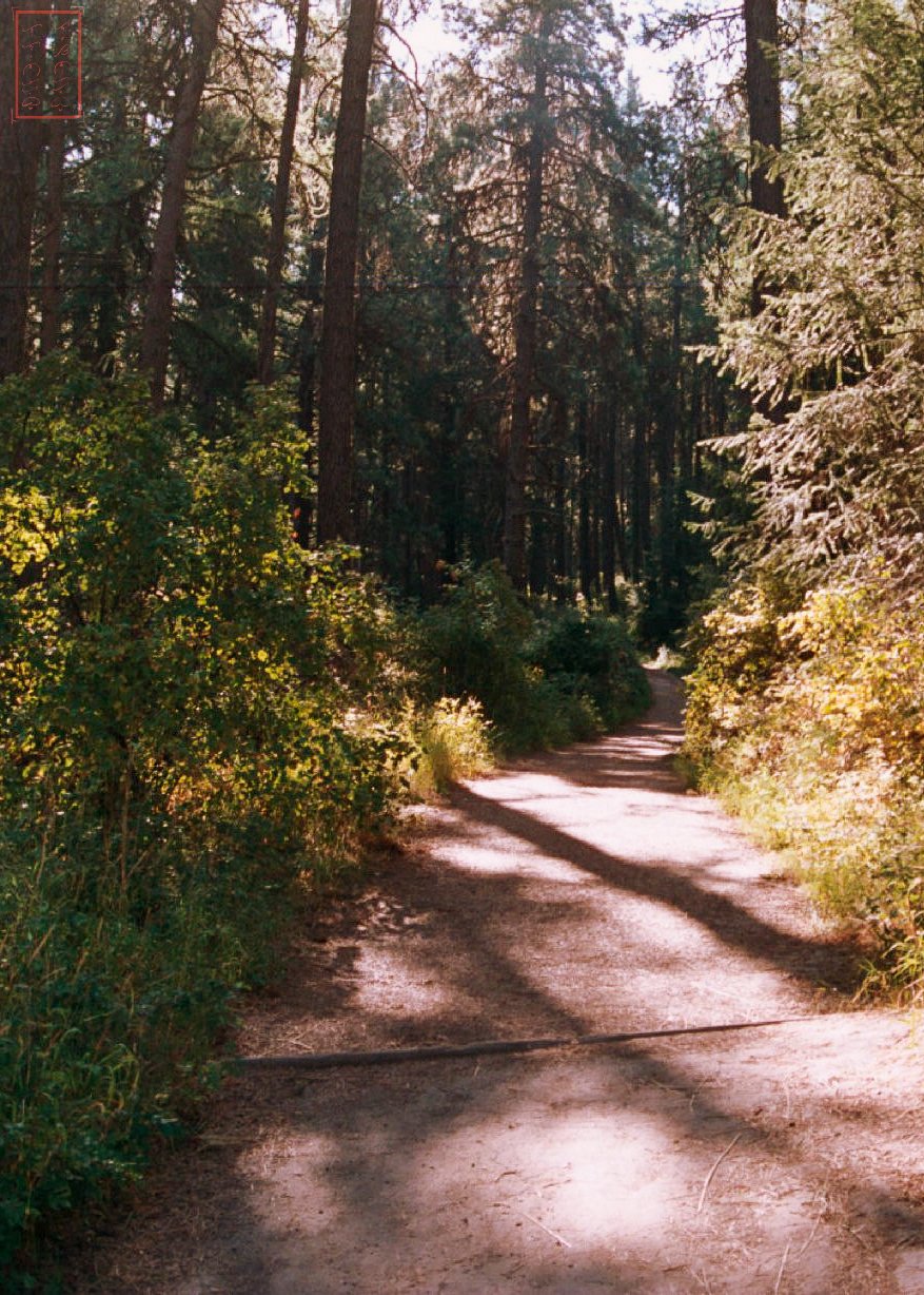WA:  Kamiak Butte County Park