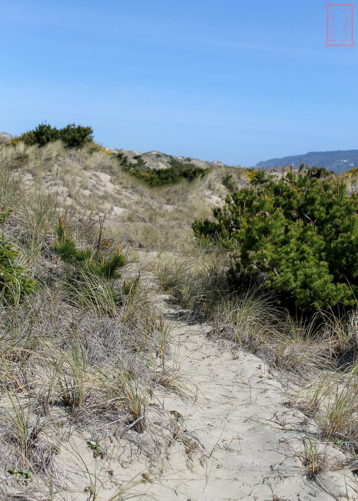 OR: Sutton Creek
