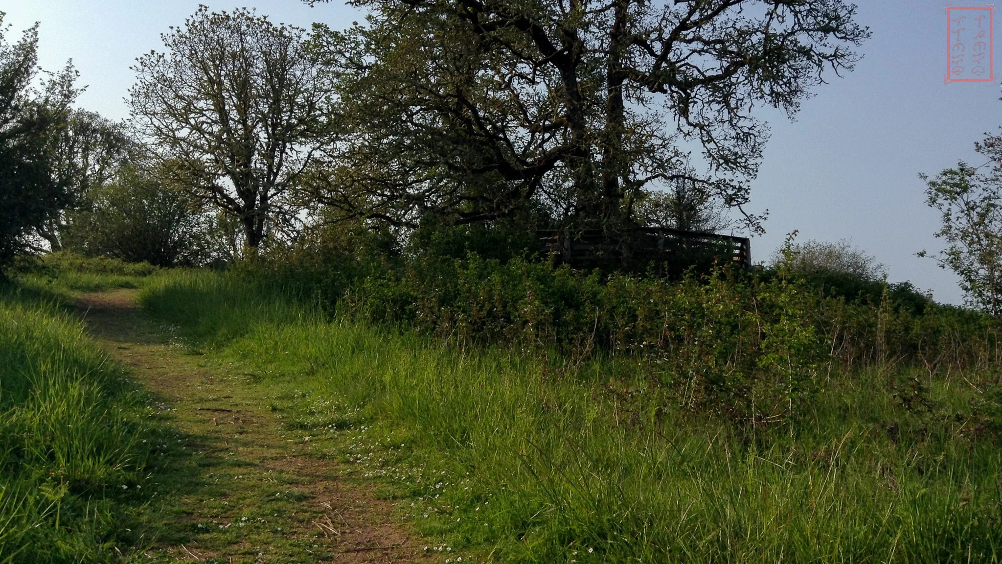 OR: William L. Finley National Wildlife Refuge