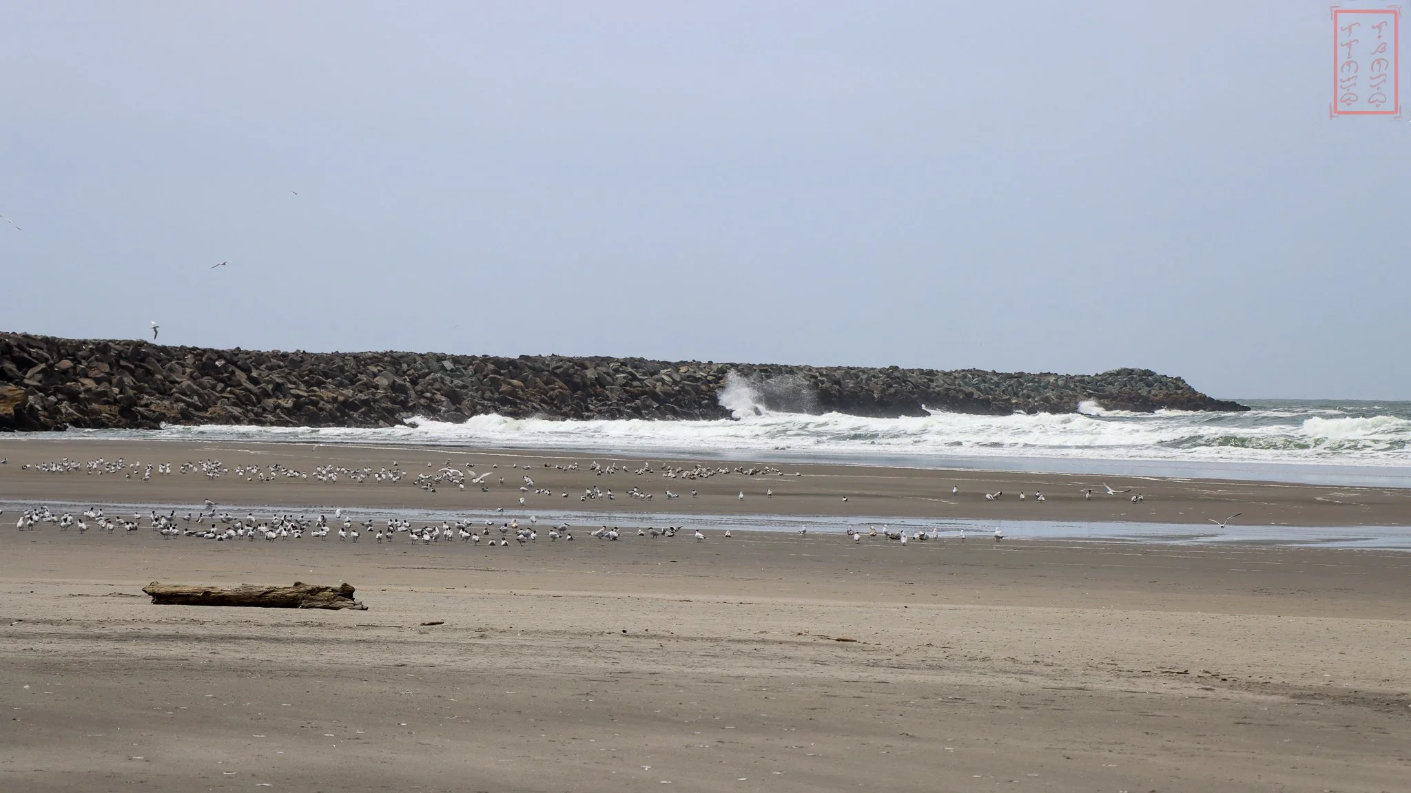 WA: Cape Disappointment
