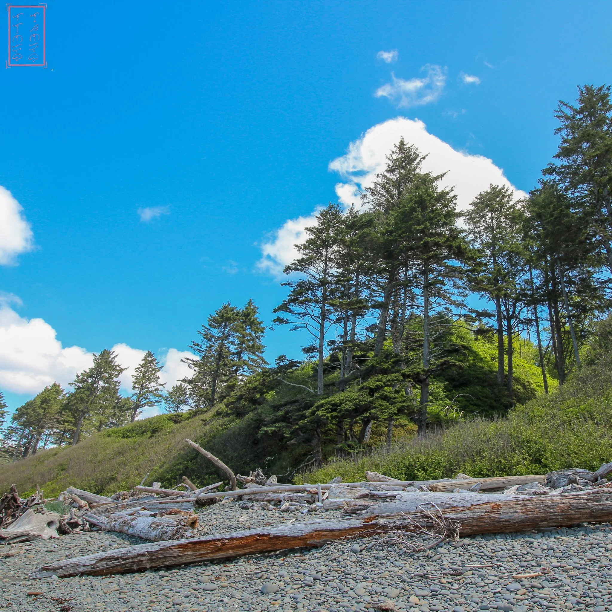 WA: Ruby Beach