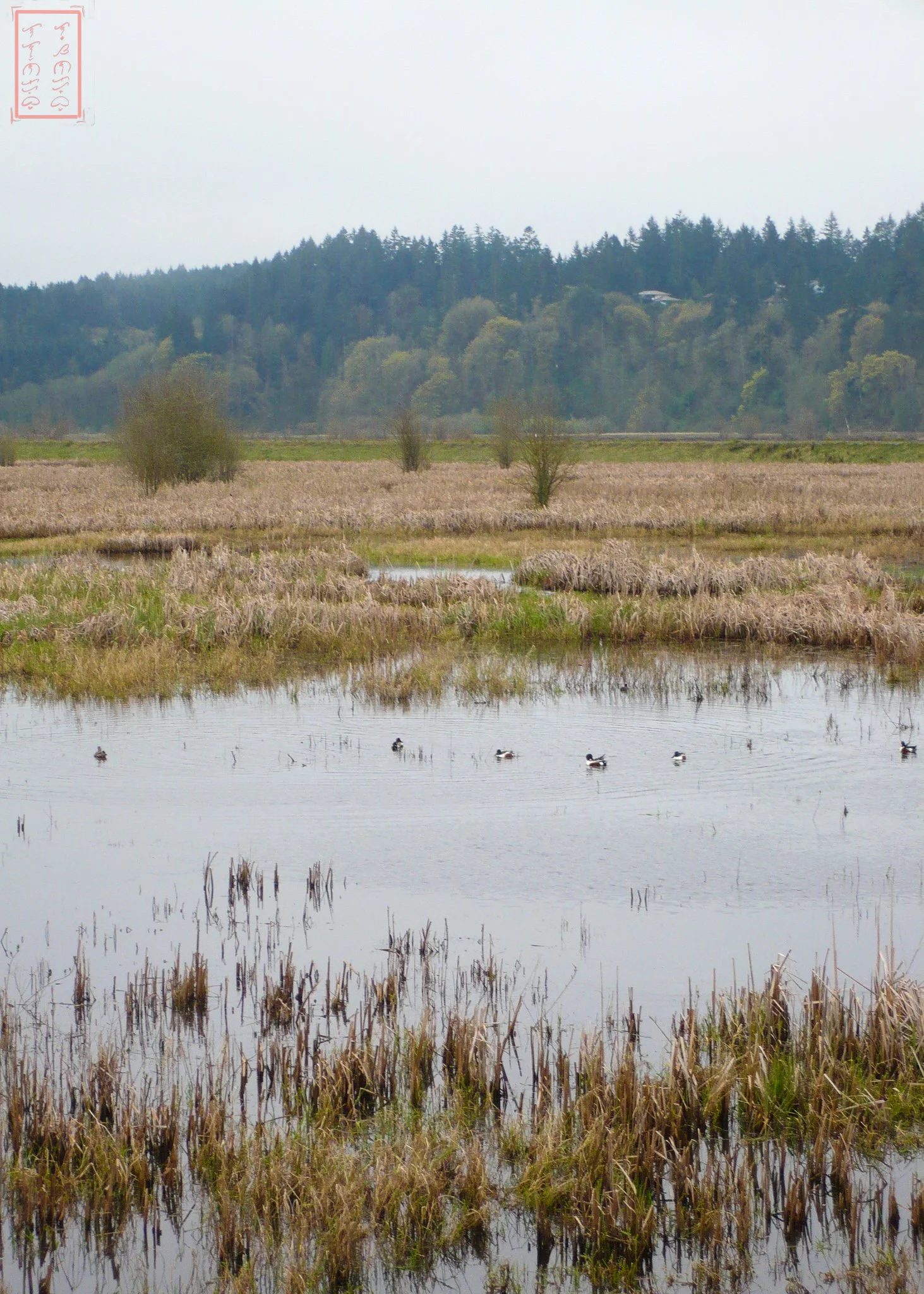 WA: Billy Frank Jr. Nisqually National Wildlife Refuge