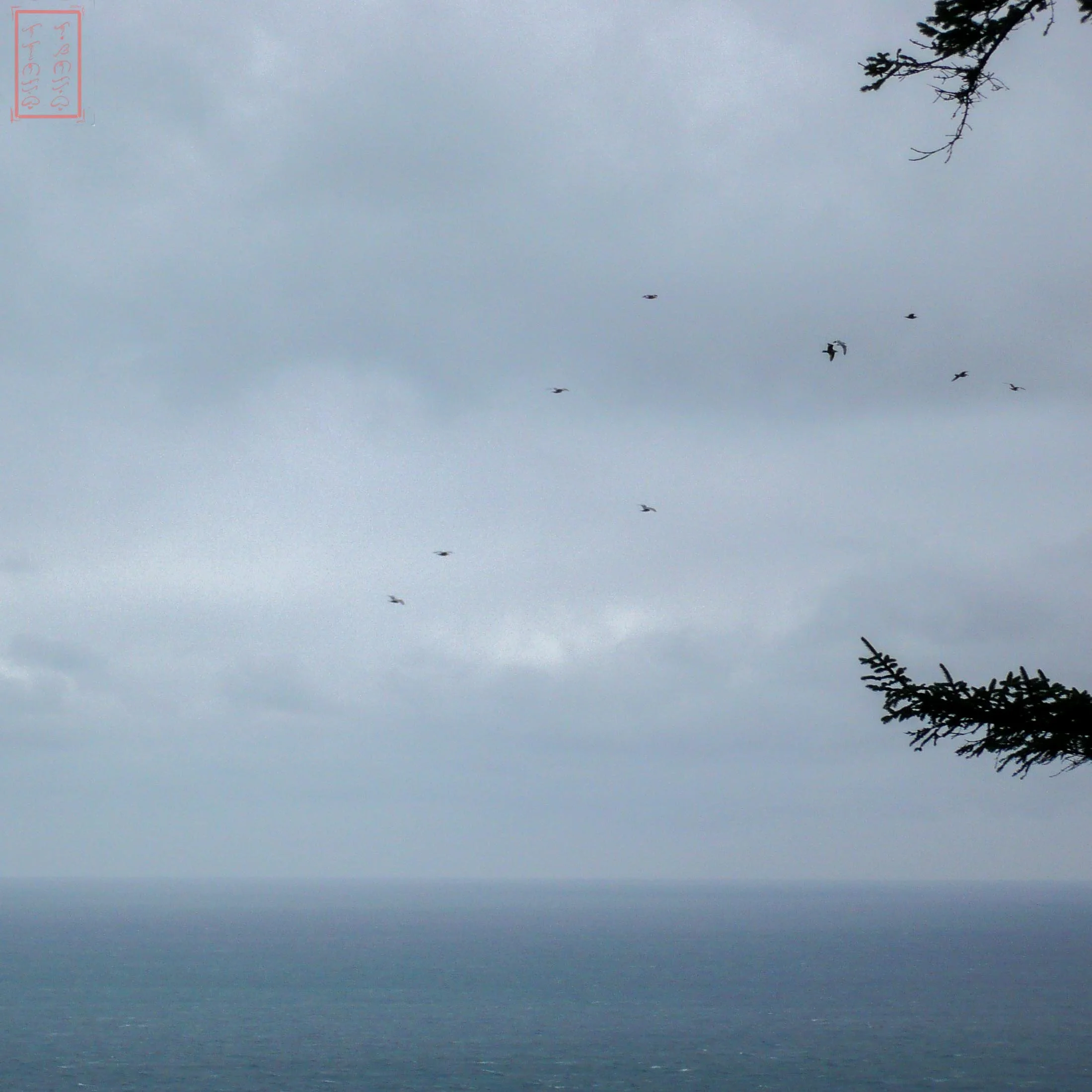 OR: Cape Lookout