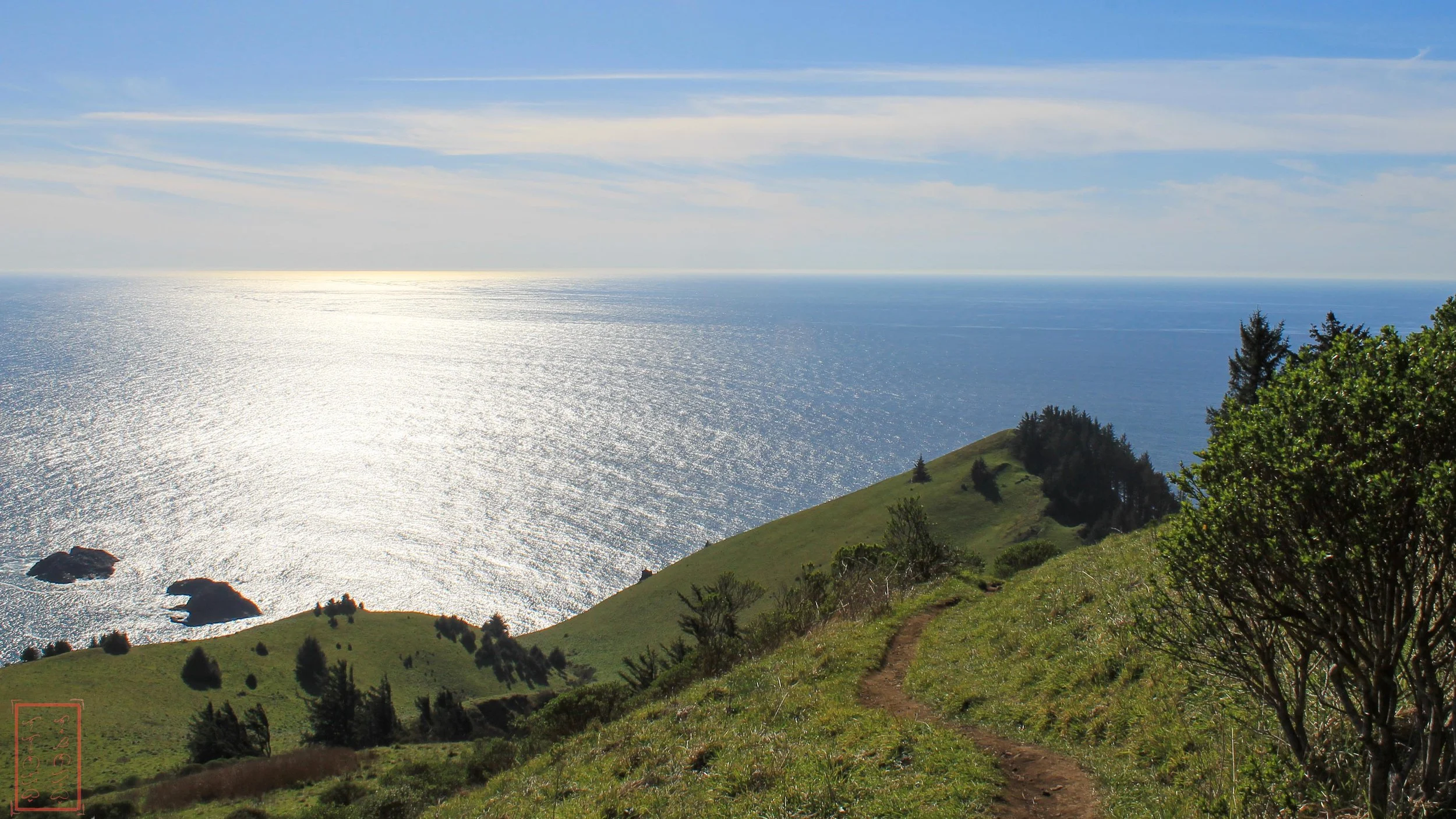 OR: Cascade Head