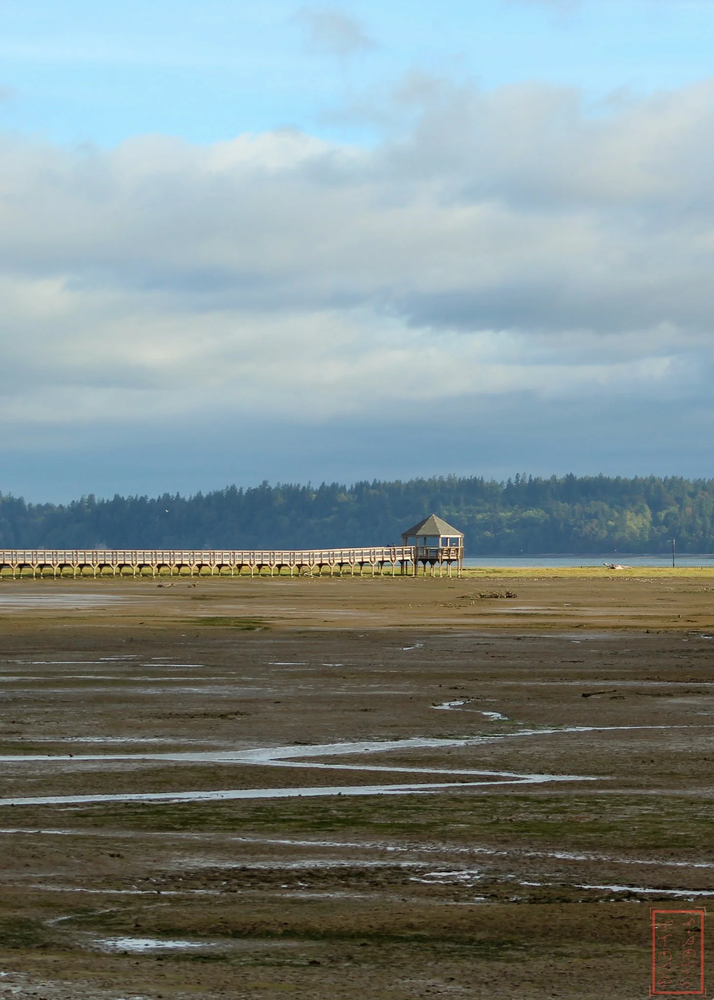 WA: Billy Frank Jr. Nisqually National Wildlife Refuge