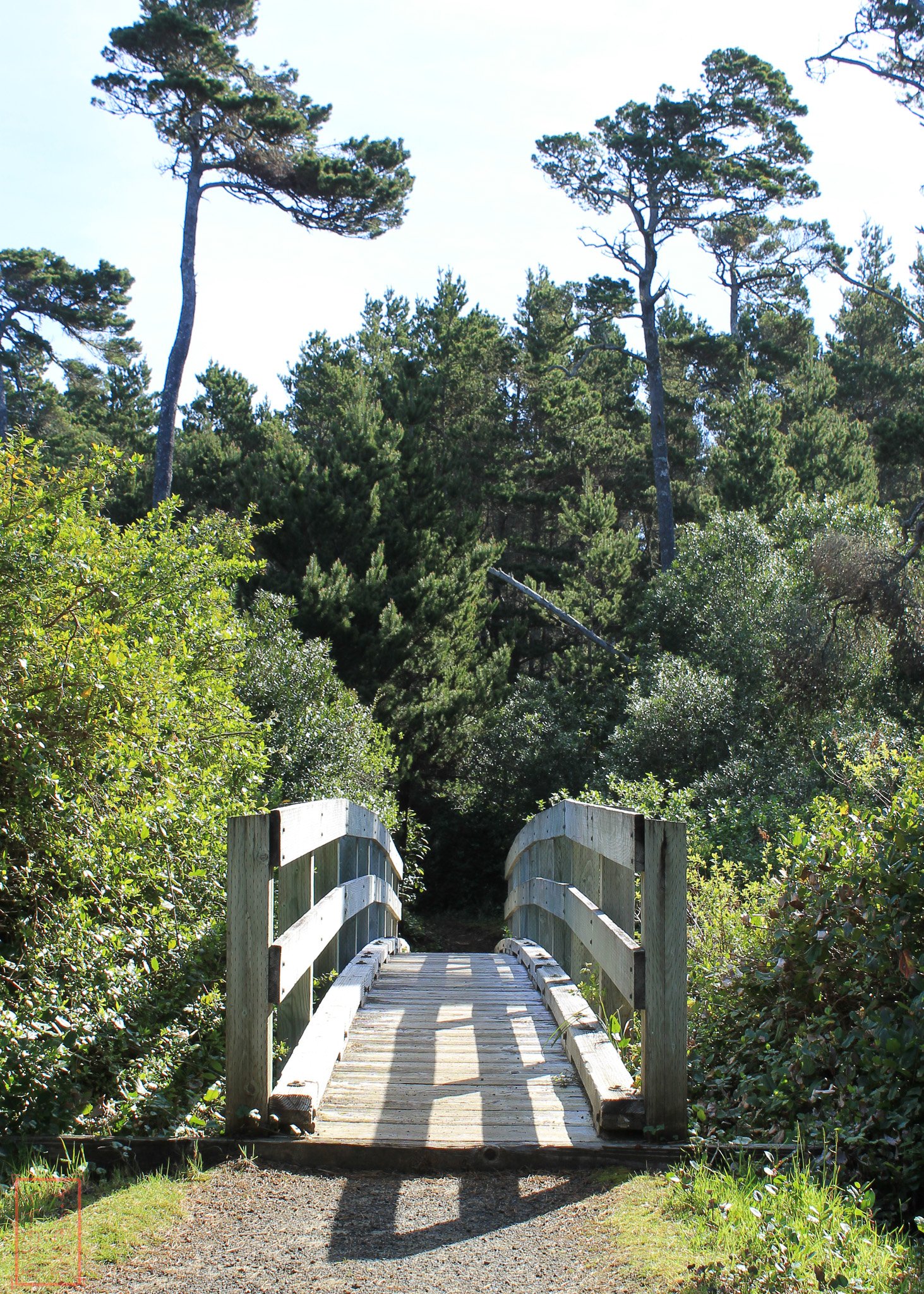 OR: Sutton Creek