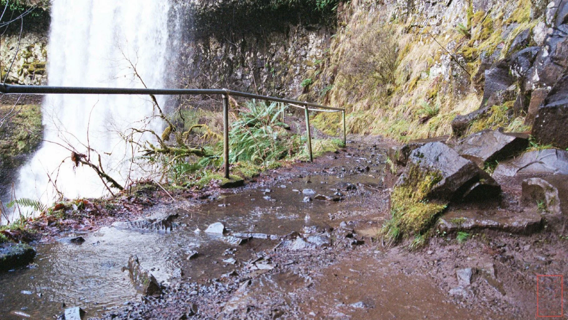 OR: Silver Falls