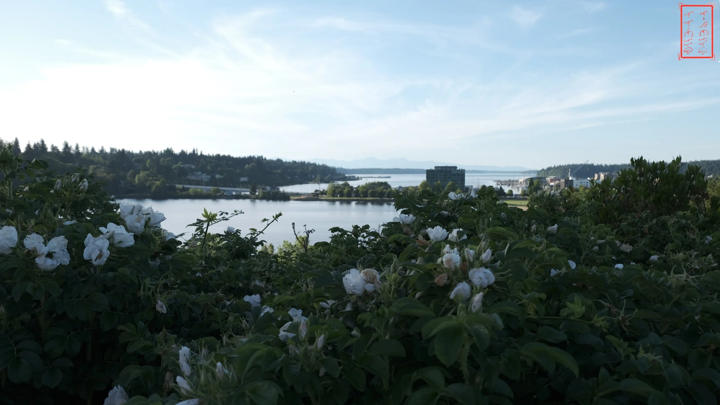 26_0613_Olympia_C16X9-6.jpg