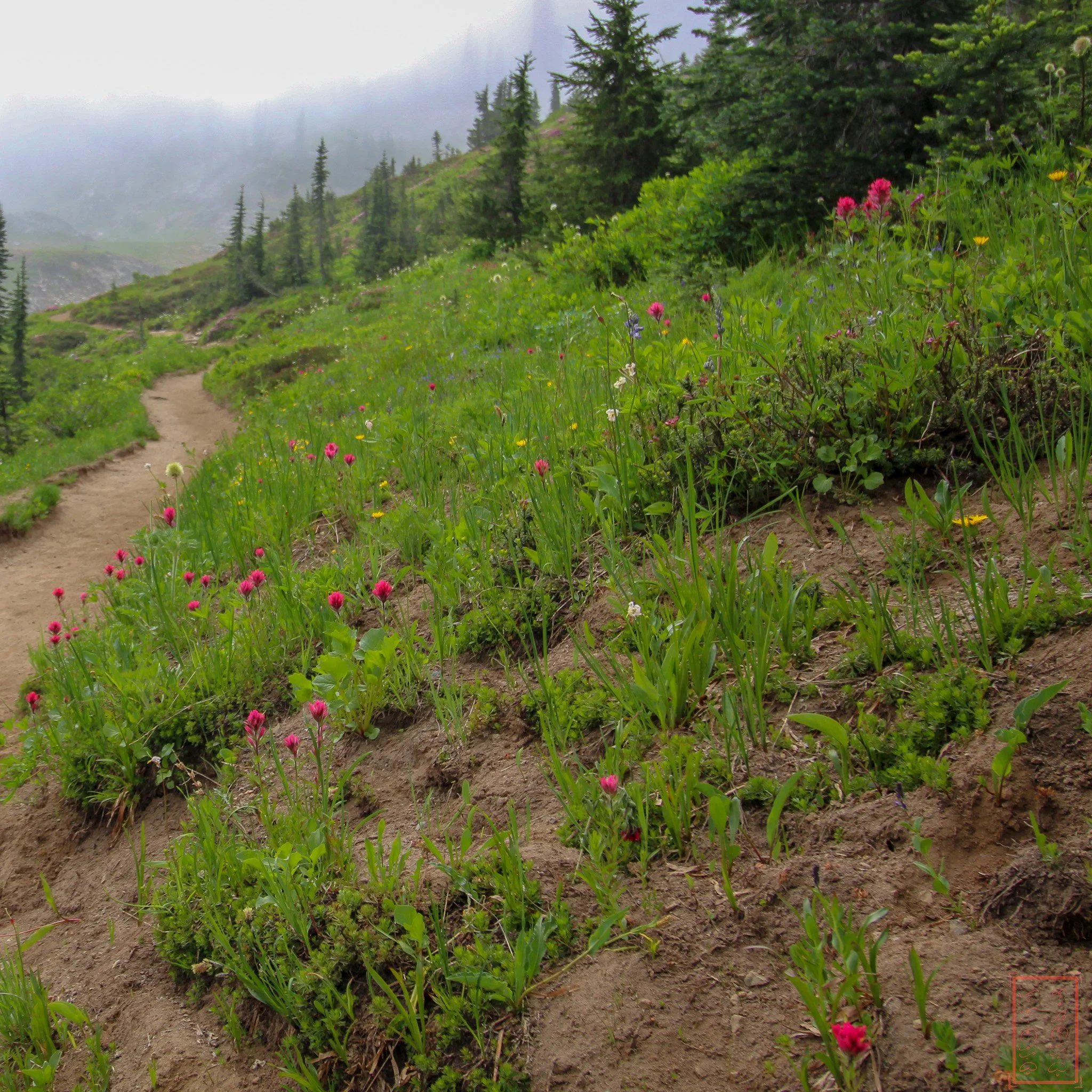 WA: Naches Peak Loop