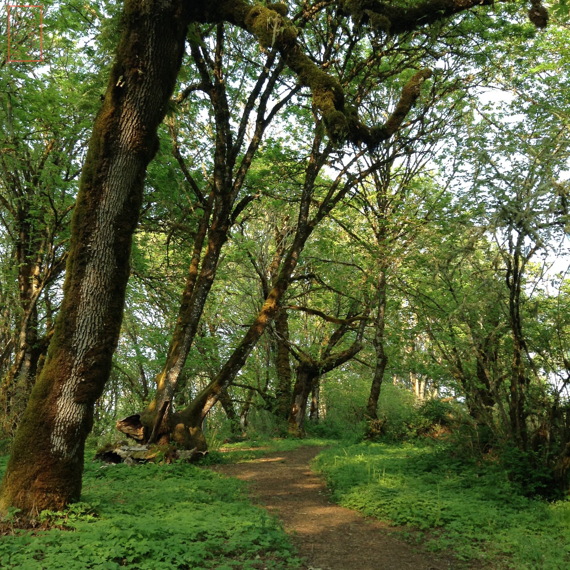 OR: William L. Finley National Wildlife Refuge
