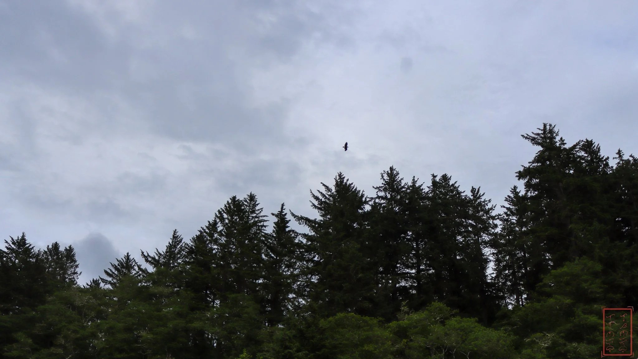 WA: Cape Disappointment