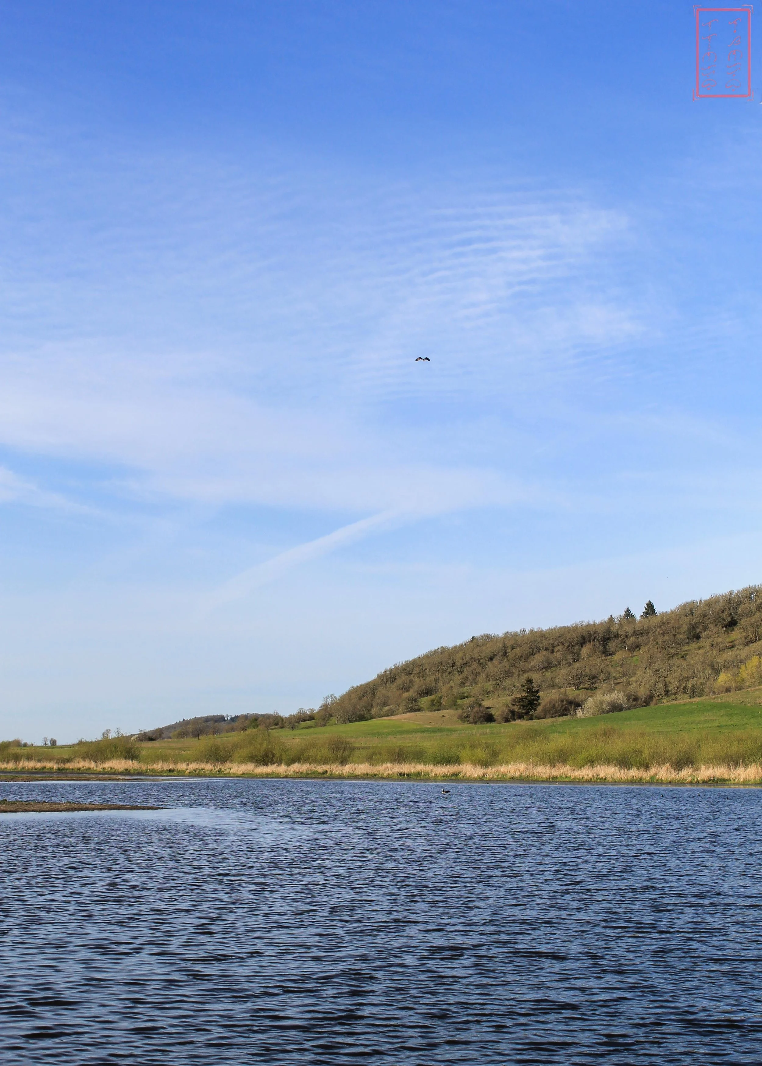 OR: Baskett Slough