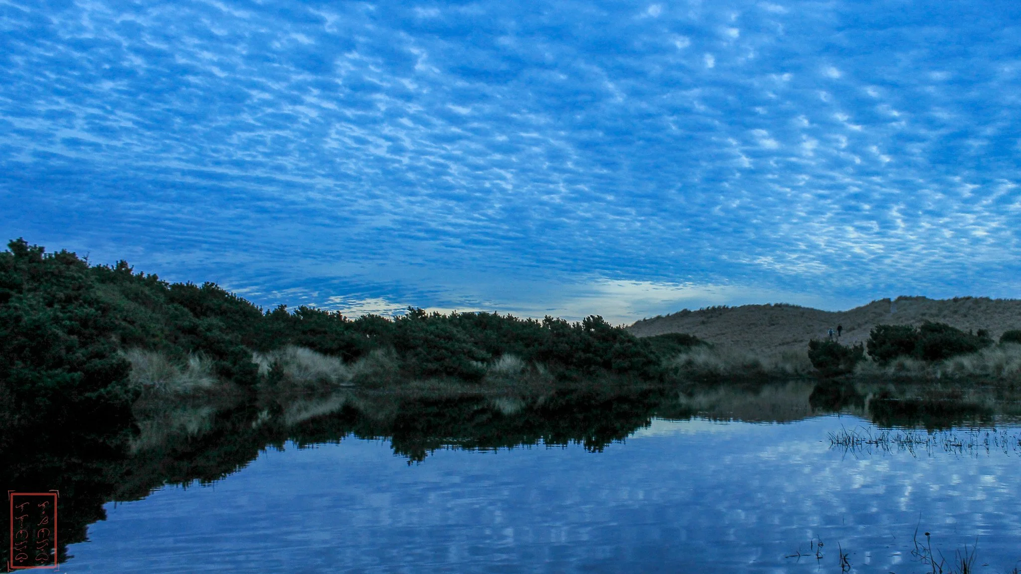 OR: Yaquina Bay