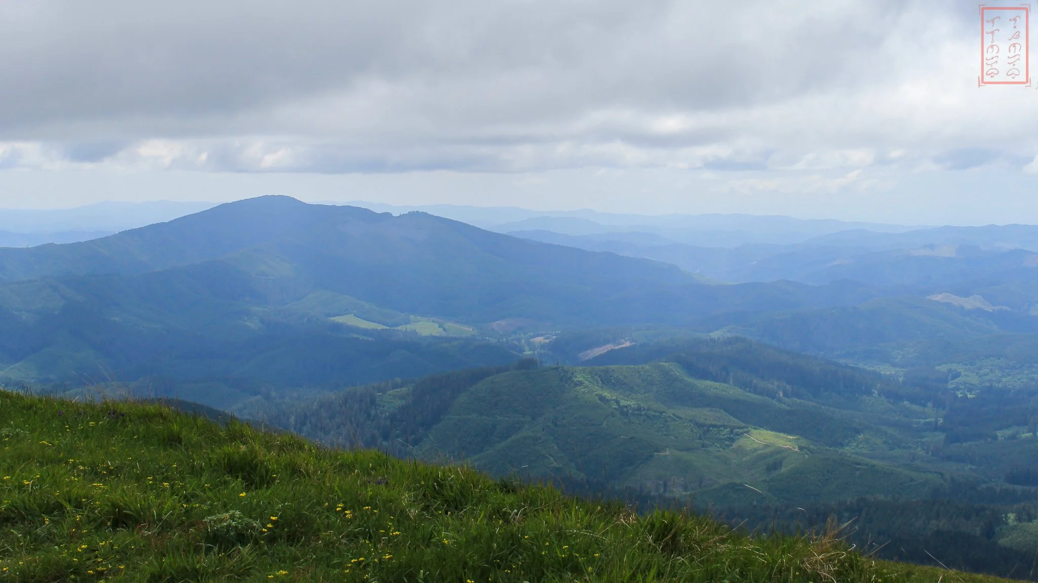 OR: Mary's Peak