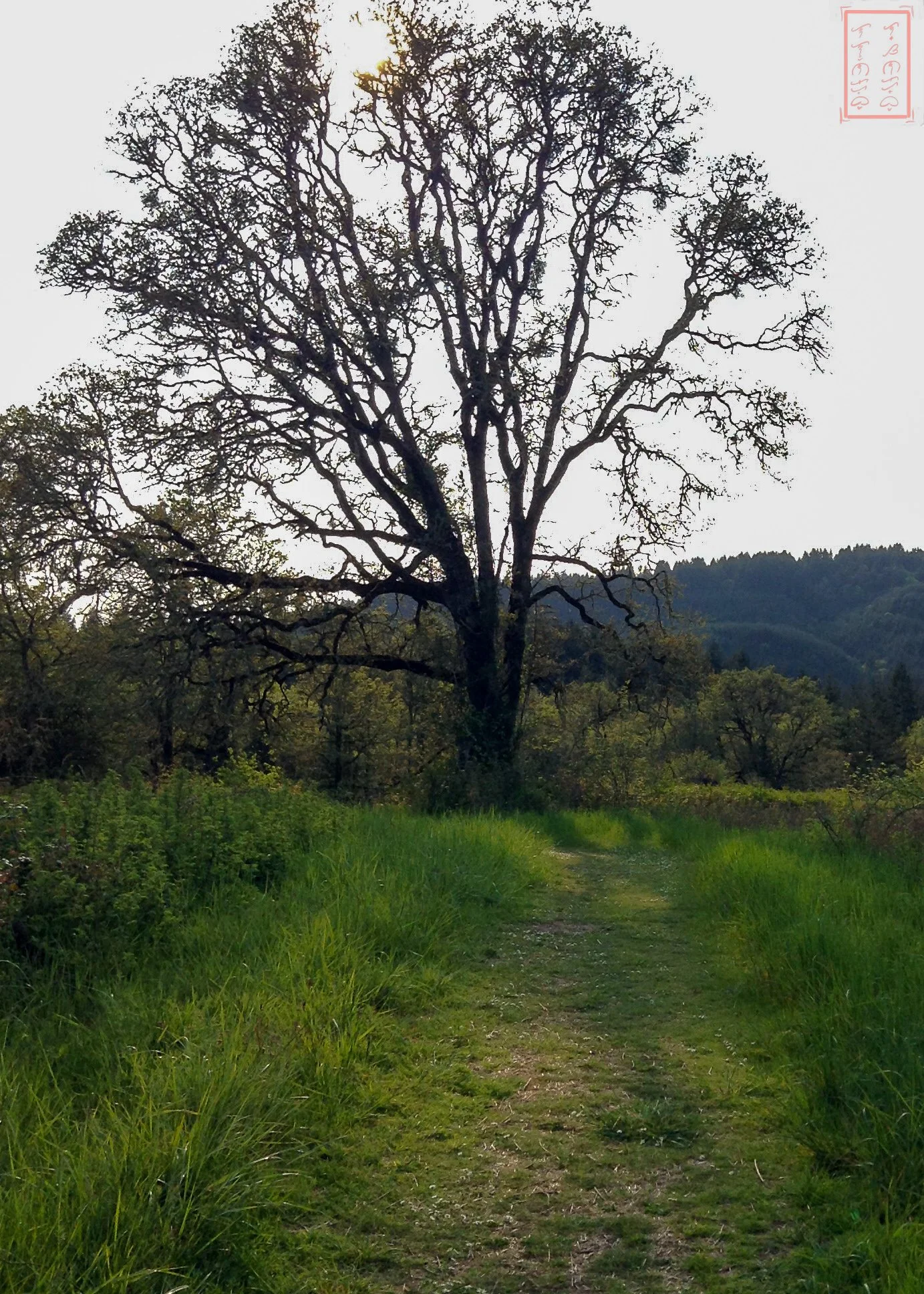 OR: William L. Finley National Wildlife Refuge