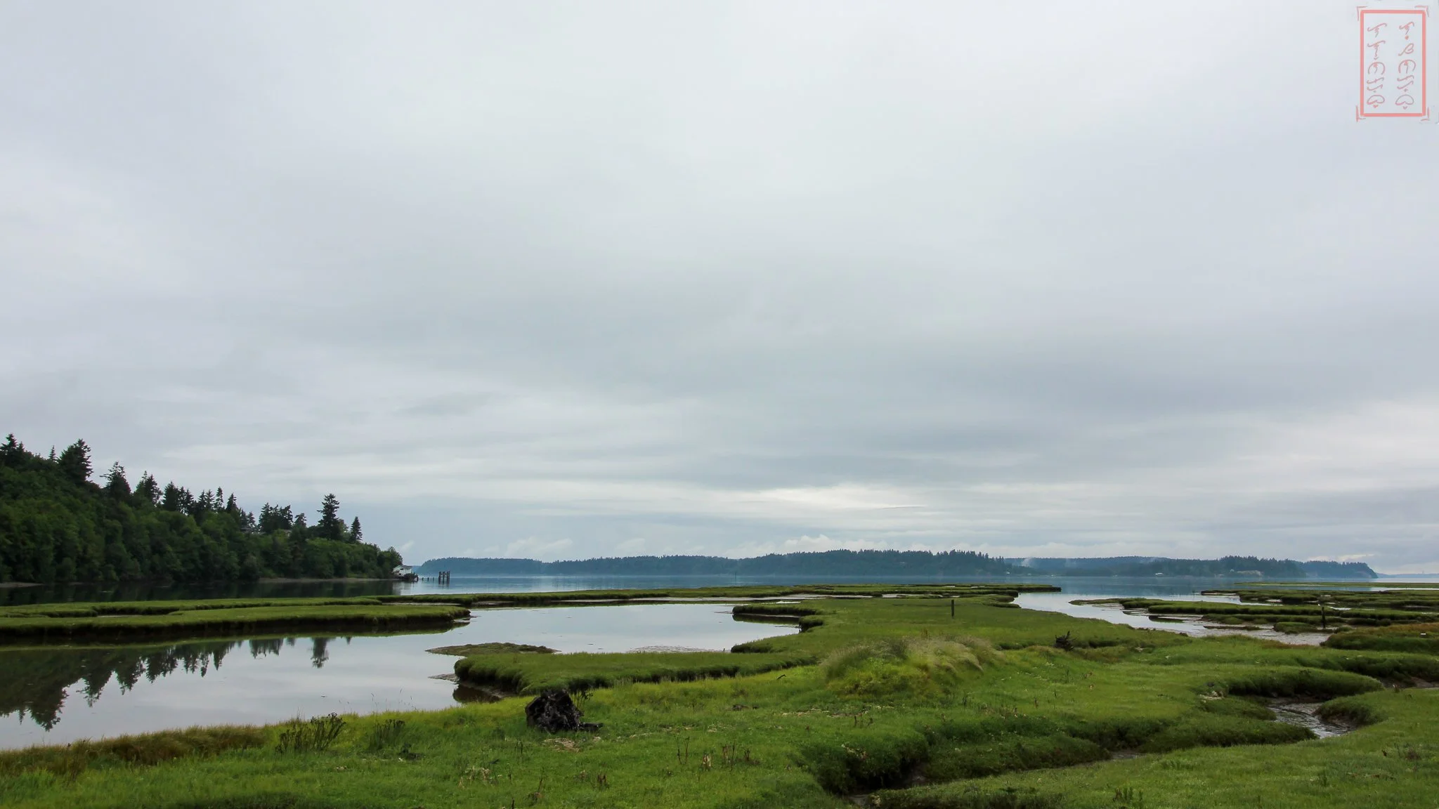 Puget Lowland