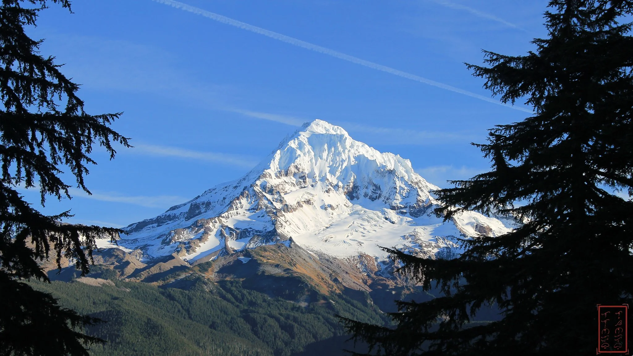 Cascade Crest Montane Forest