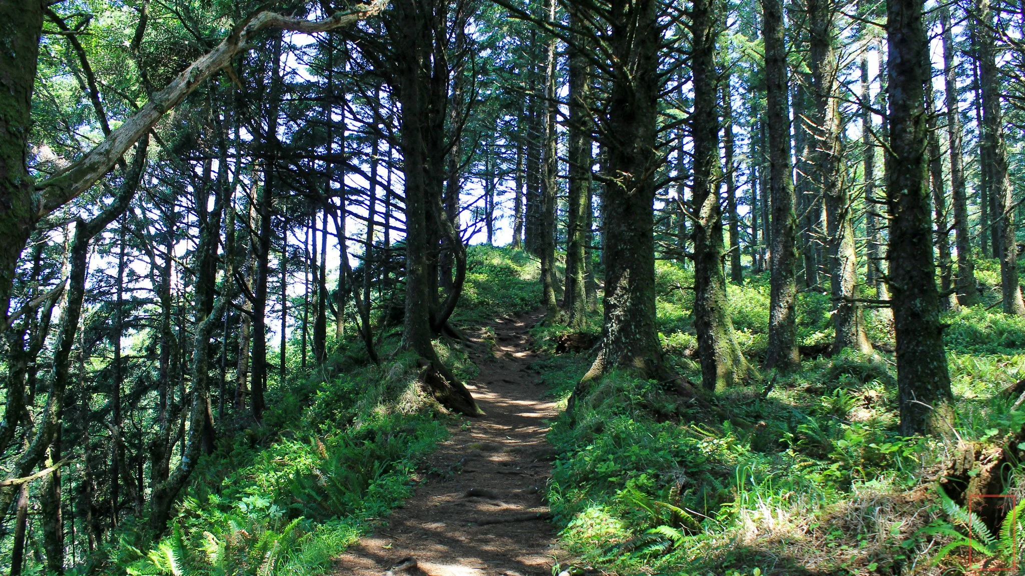 OR: Ecola State Park