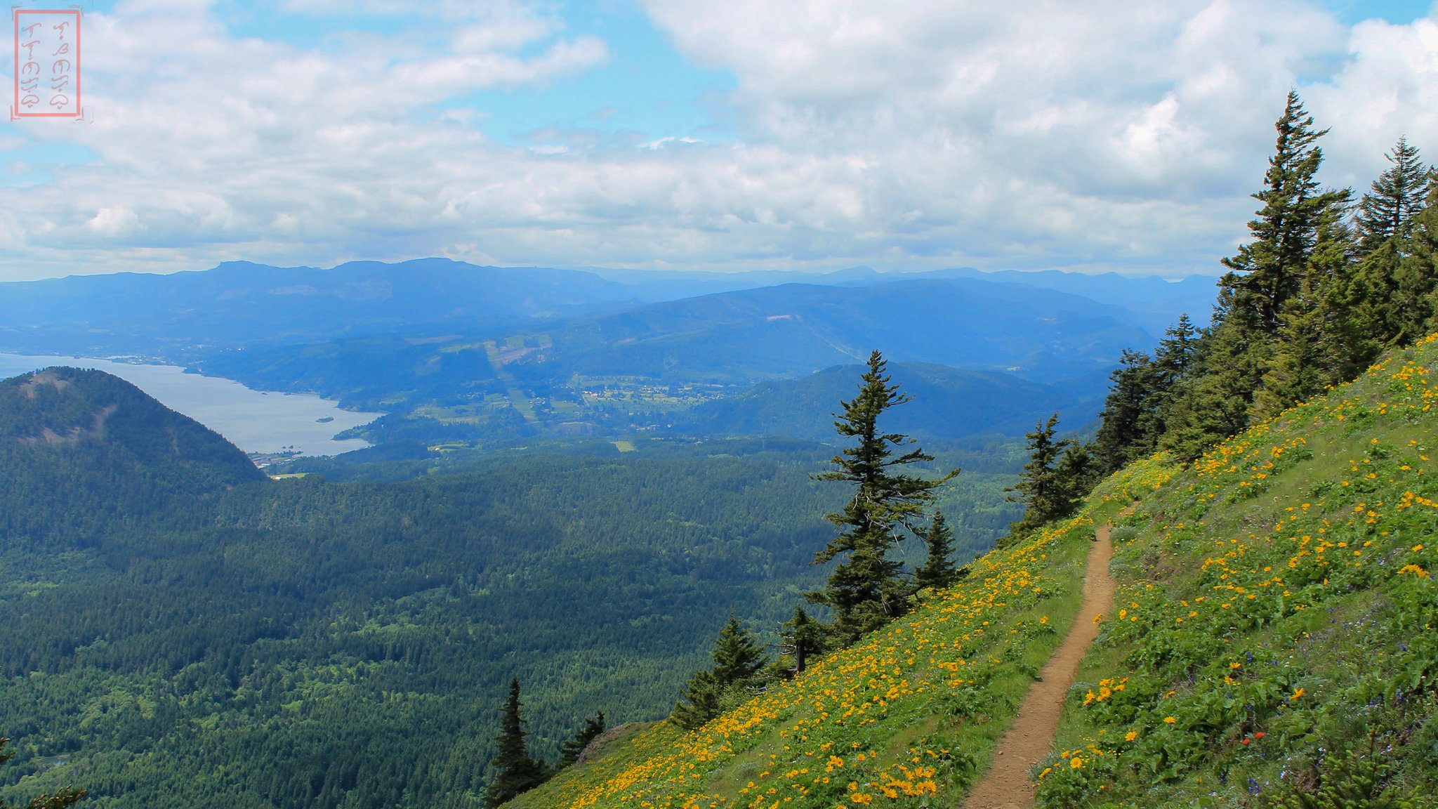 WA: Dog Mountain