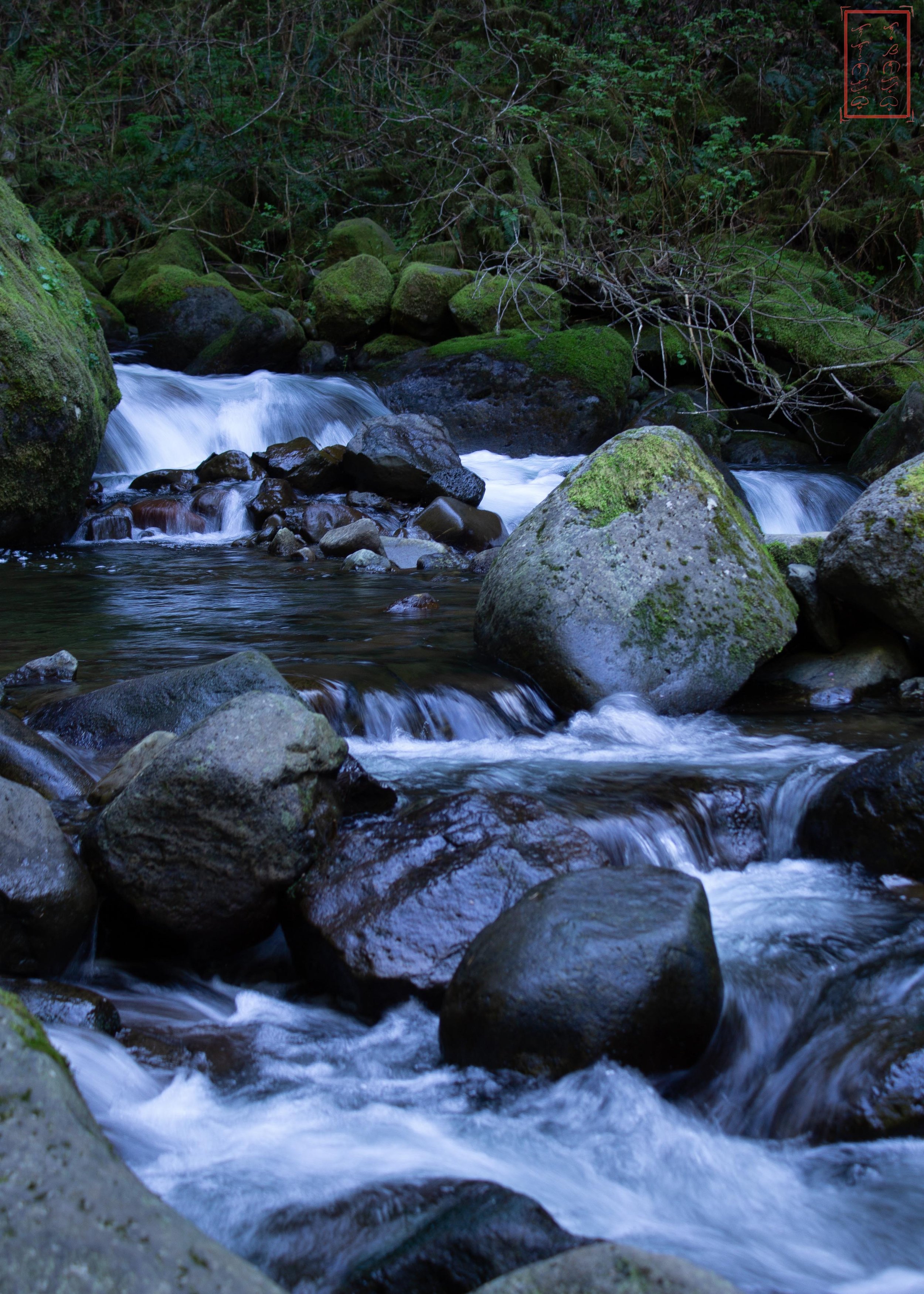 OR: Oneonta Gorge