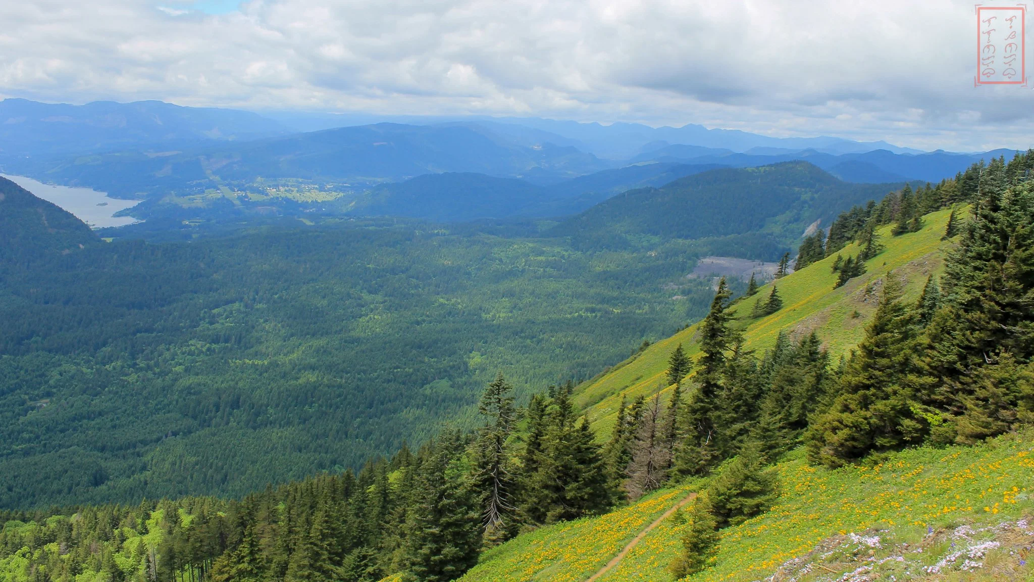 WA: Dog Mountain