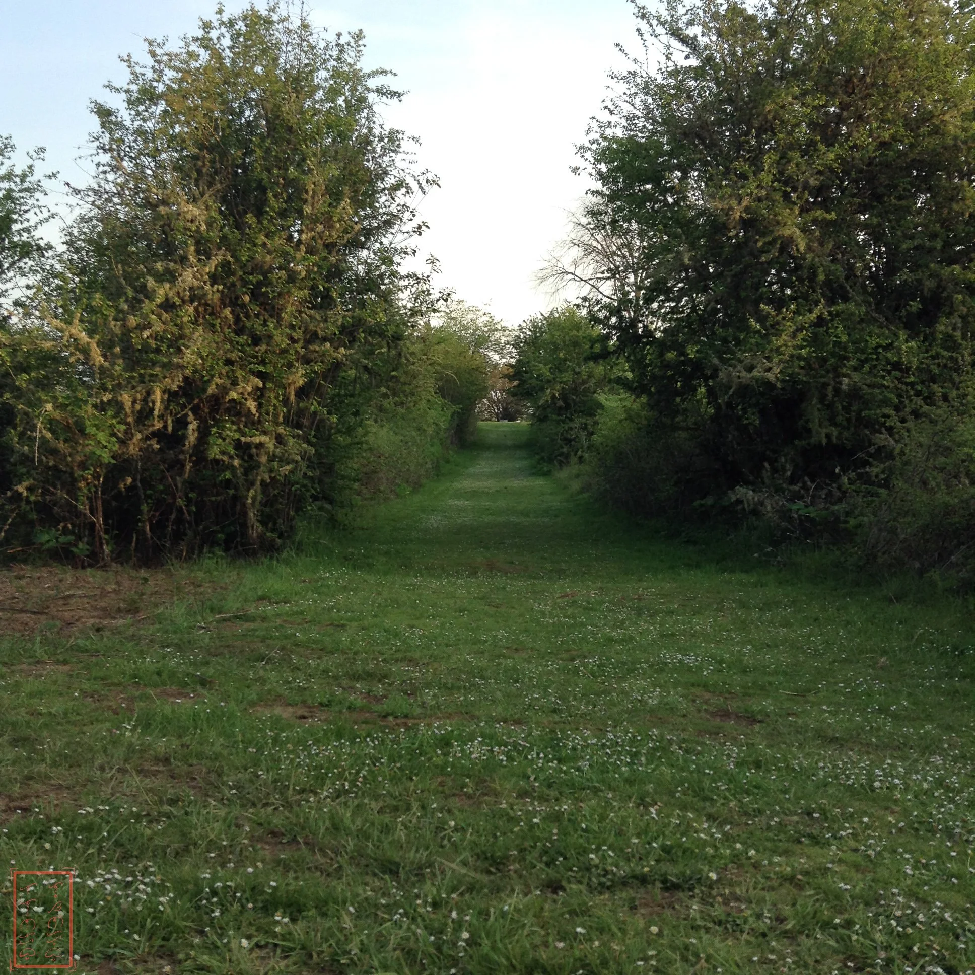 OR: William L. Finley National Wildlife Refuge