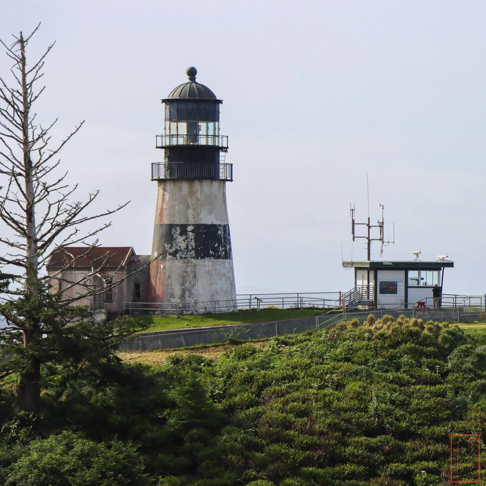 WA: Cape Disappointment