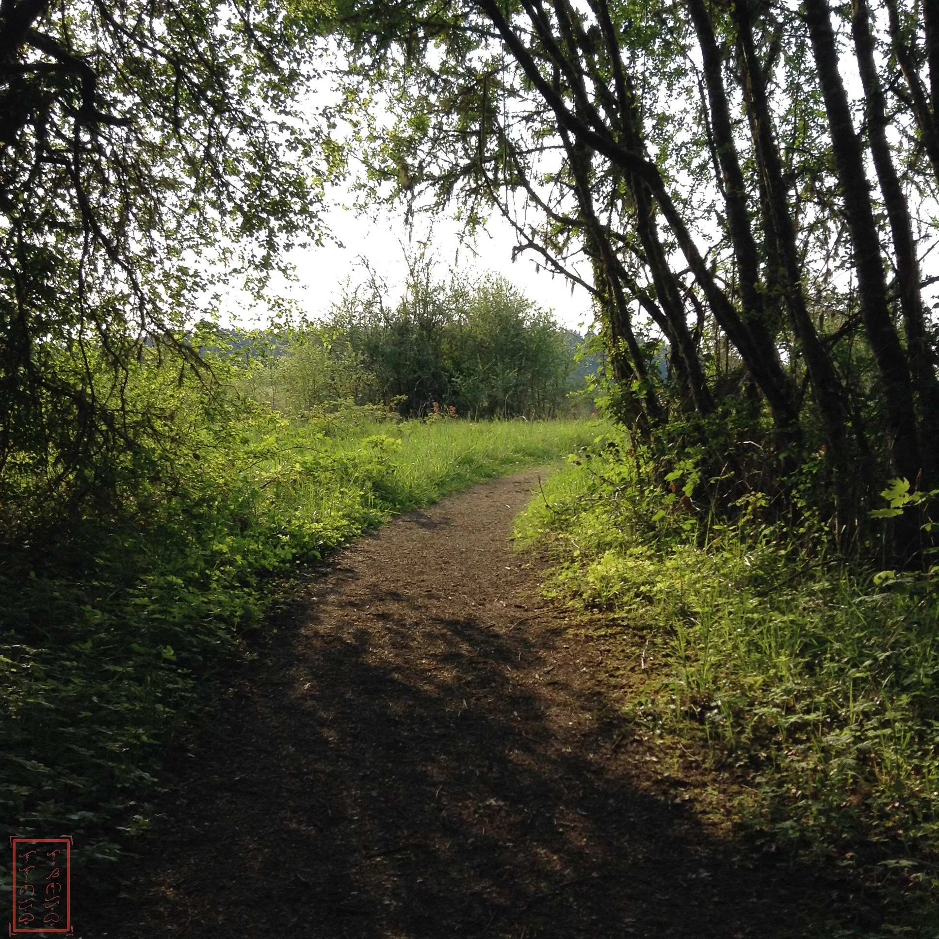 OR: William L. Finley National Wildlife Refuge