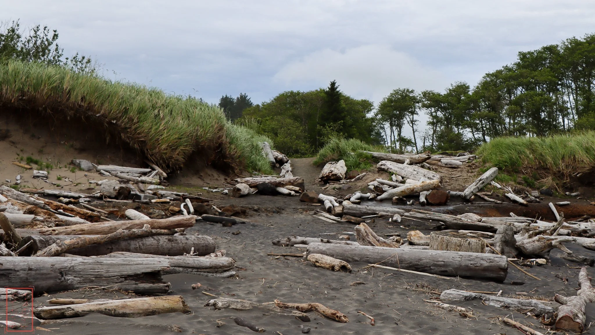 WA: Cape Disappointment