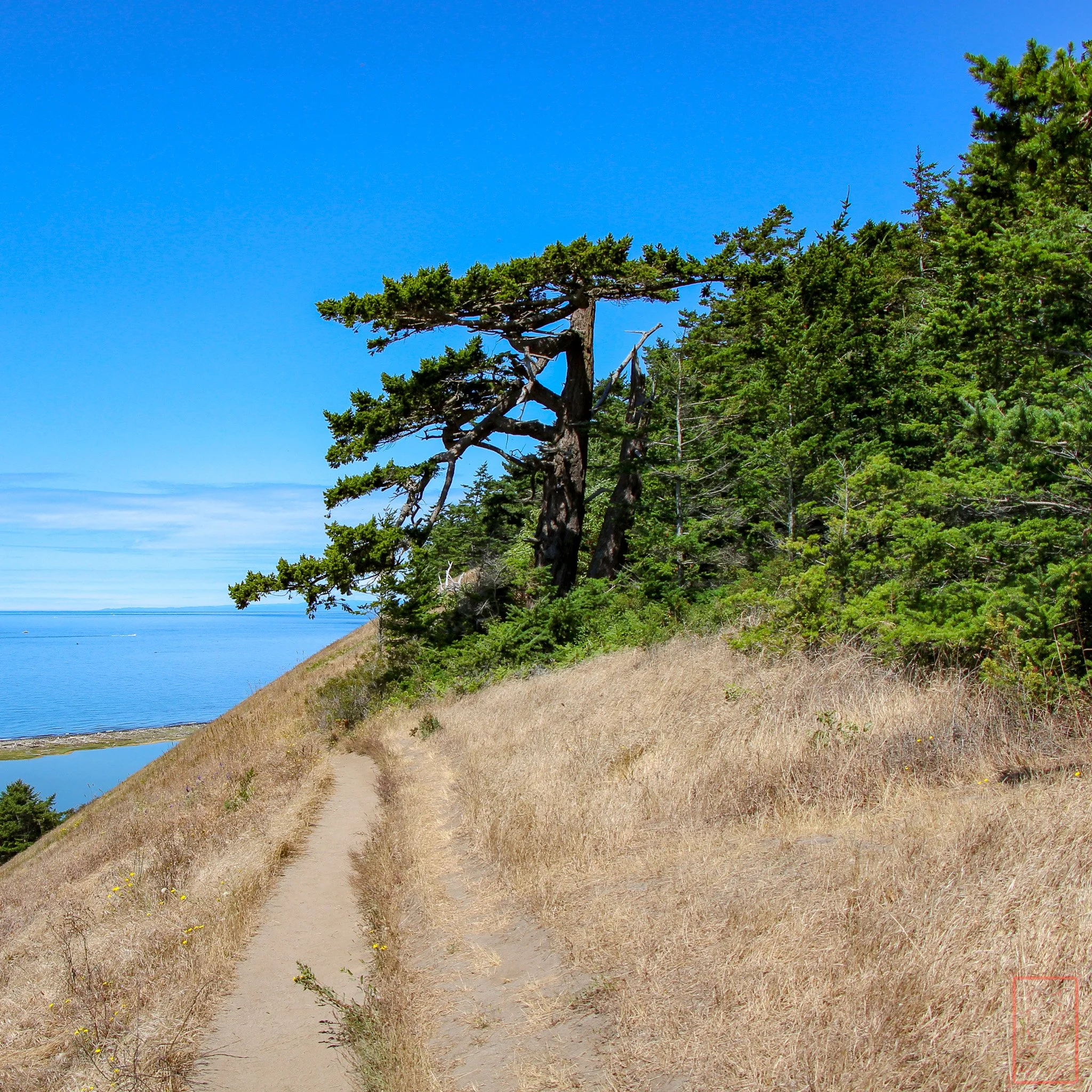WA: Ebey's Landing