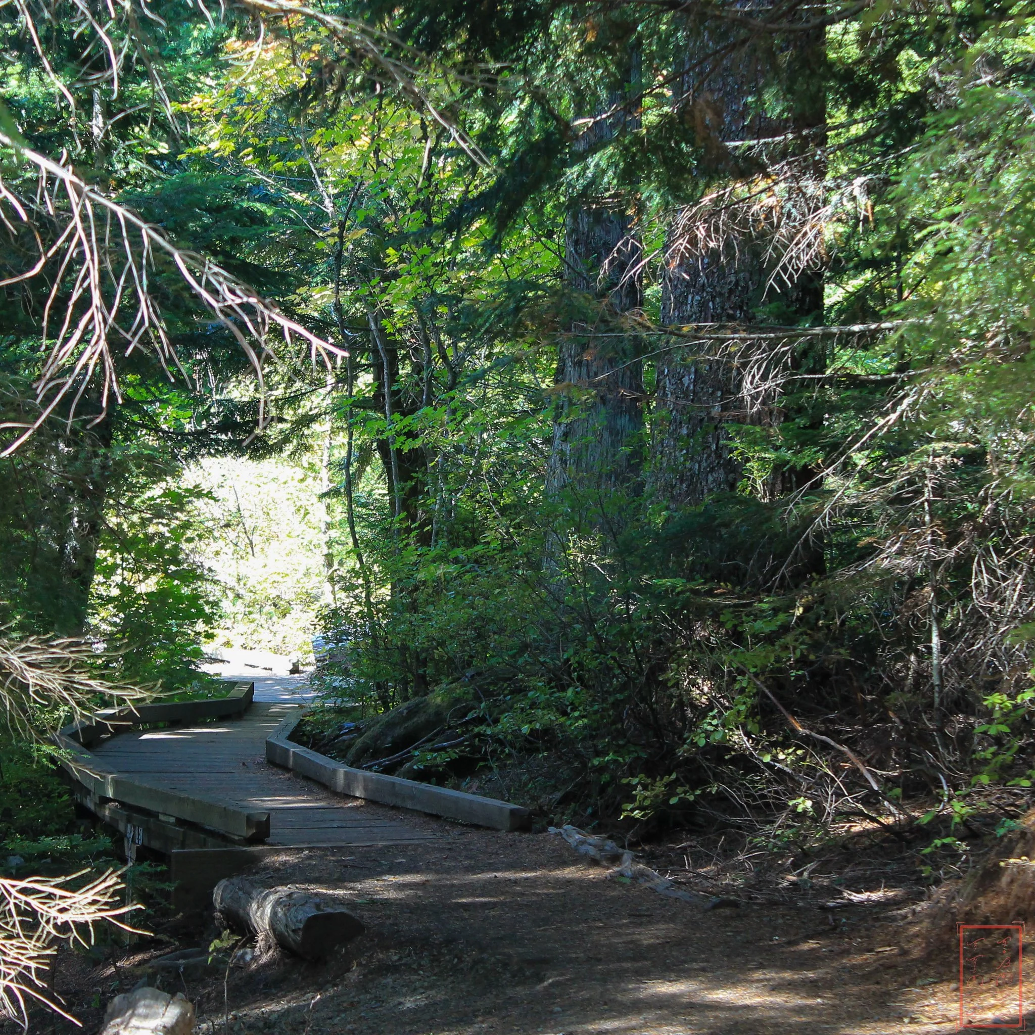 OR: Lost Lake