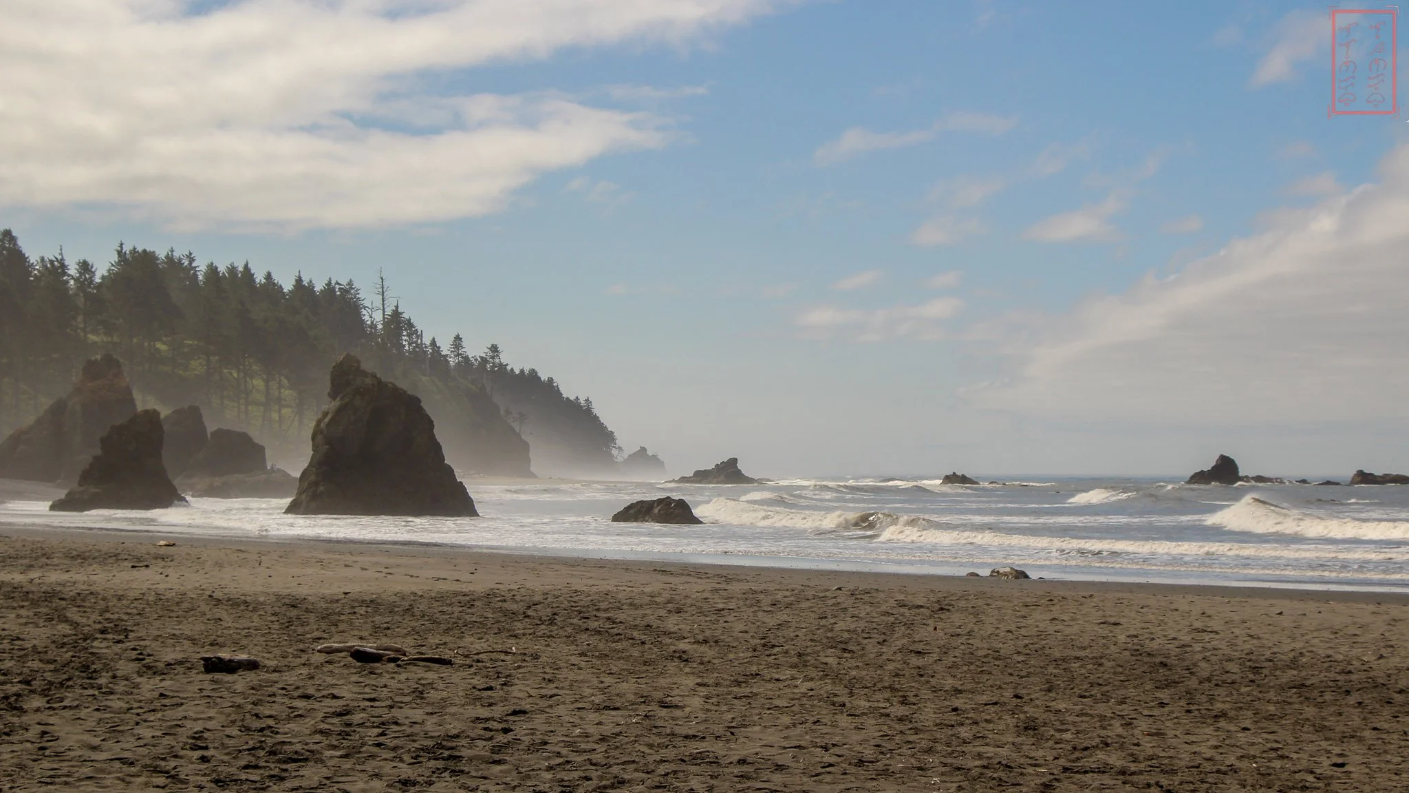 WA: Ruby Beach