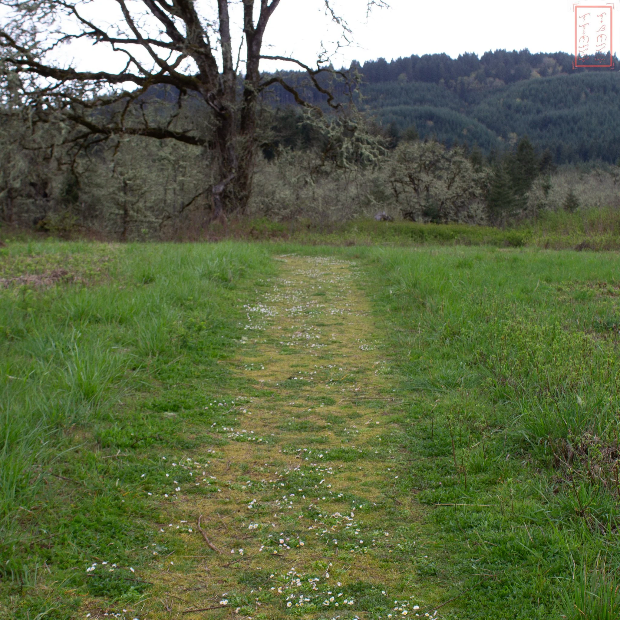 OR: William L. Finley National Wildlife Refuge