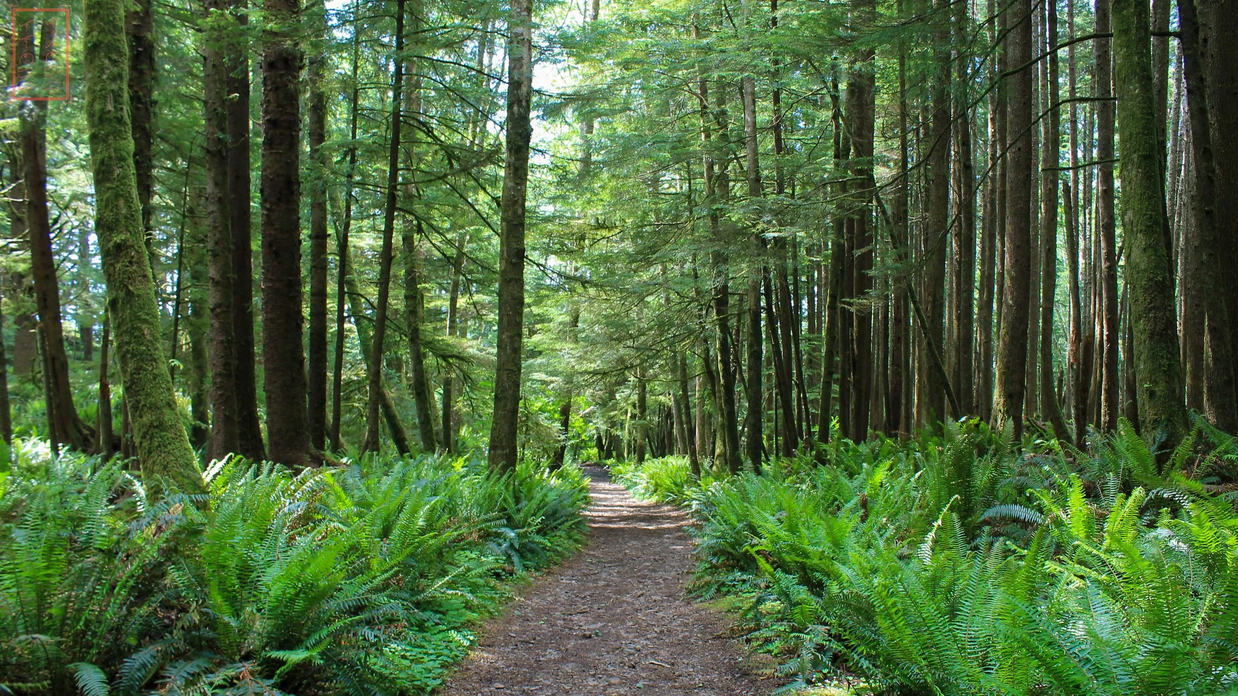 OR: Ecola State Park