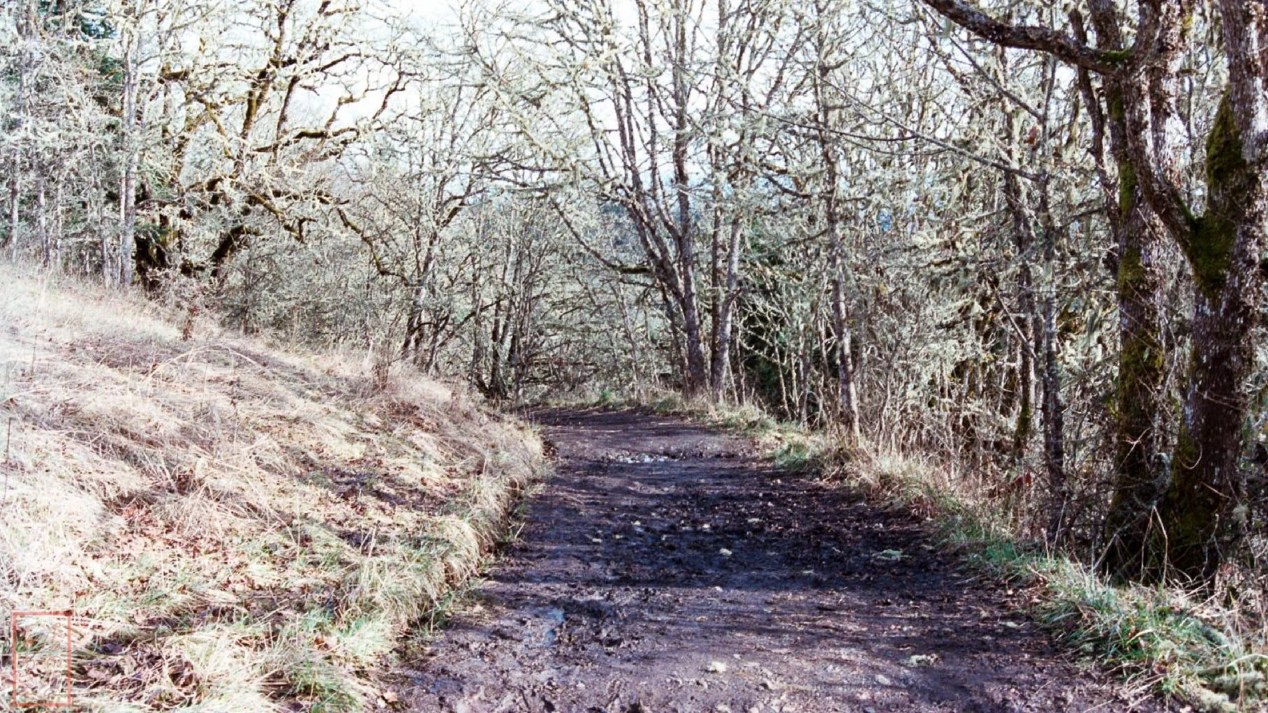 OR: Chip Ross Park and Dimple Hill