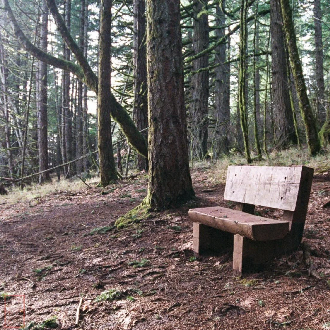 OR: Chip Ross Park and Dimple Hill