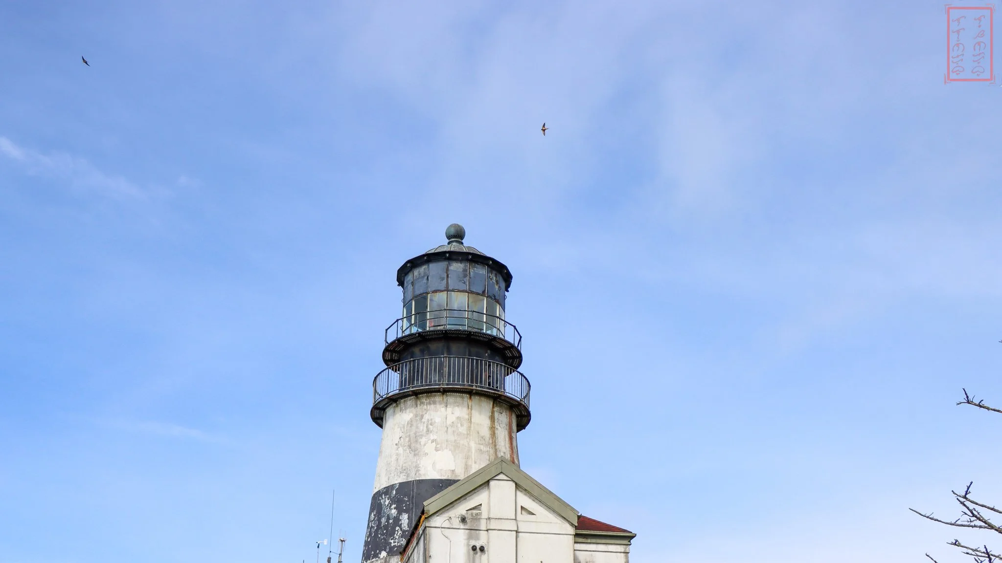 WA: Cape Disappointment