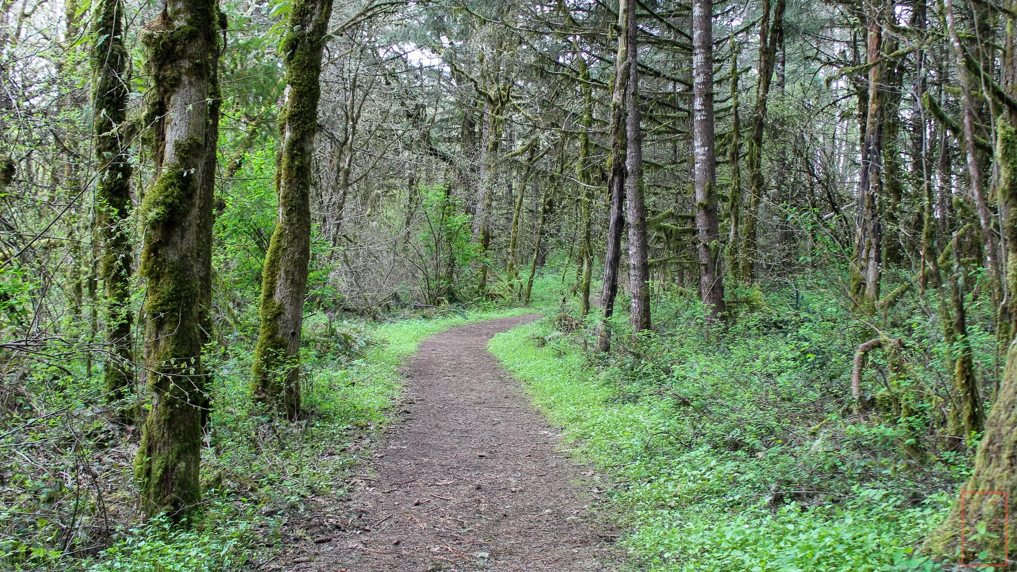 OR: William L. Finley National Wildlife Refuge