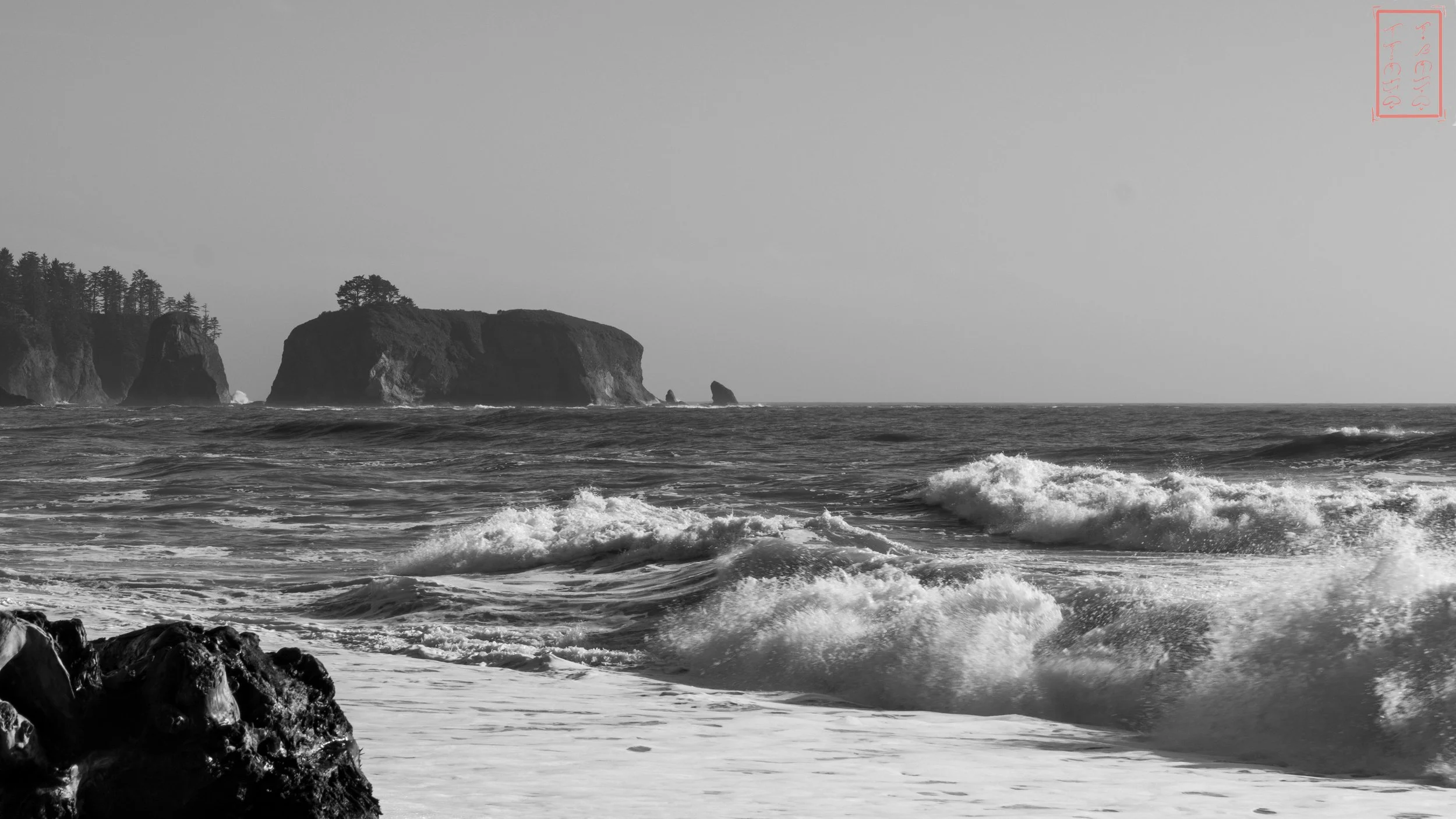 26_0619_Rialto-BW-16x9-1-2.jpg